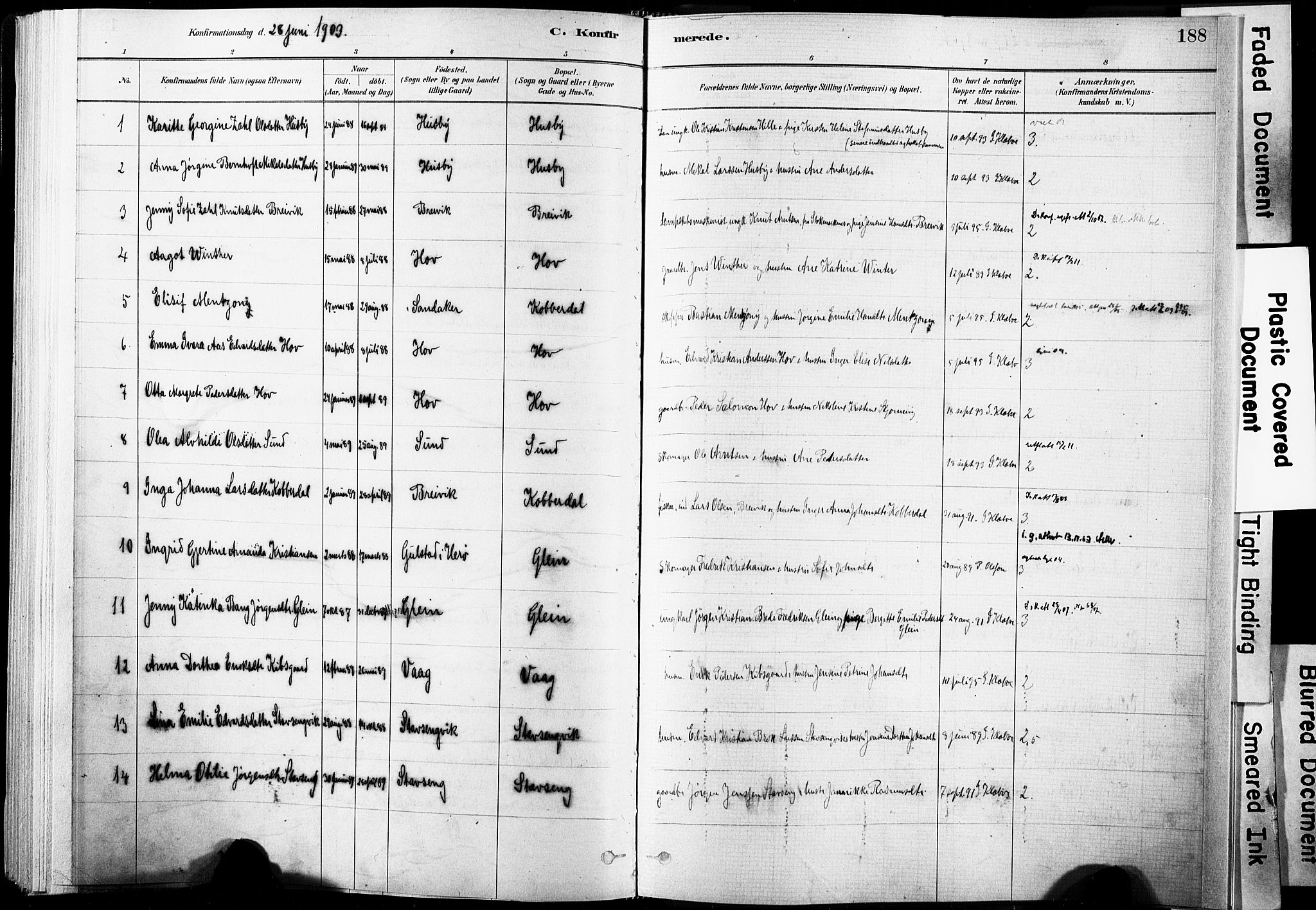 Ministerialprotokoller, klokkerbøker og fødselsregistre - Nordland, AV/SAT-A-1459/835/L0525: Parish register (official) no. 835A03I, 1881-1910, p. 188