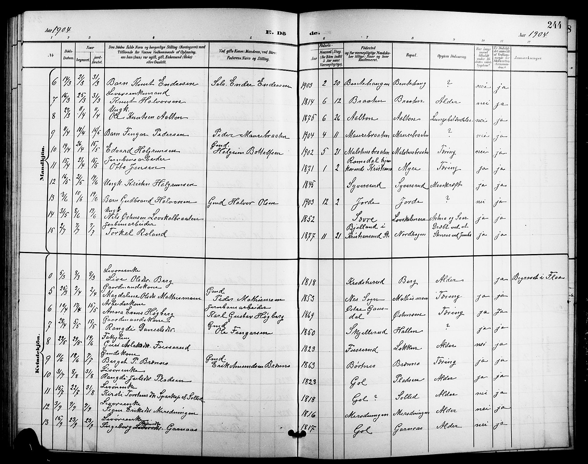 Nes kirkebøker, AV/SAKO-A-236/G/Ga/L0004: Parish register (copy) no. I 4, 1900-1925, p. 244