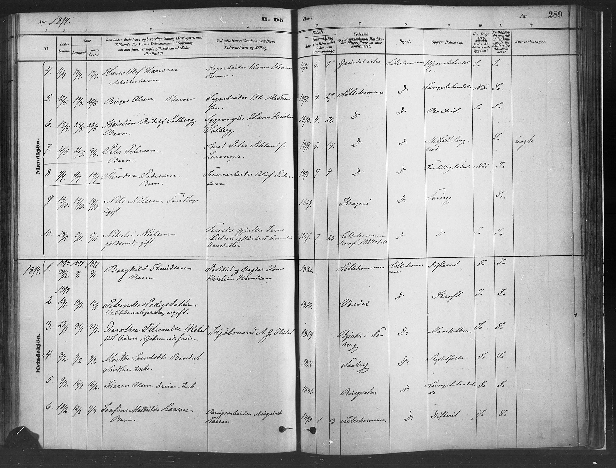 Fåberg prestekontor, SAH/PREST-086/H/Ha/Haa/L0010: Parish register (official) no. 10, 1879-1900, p. 289