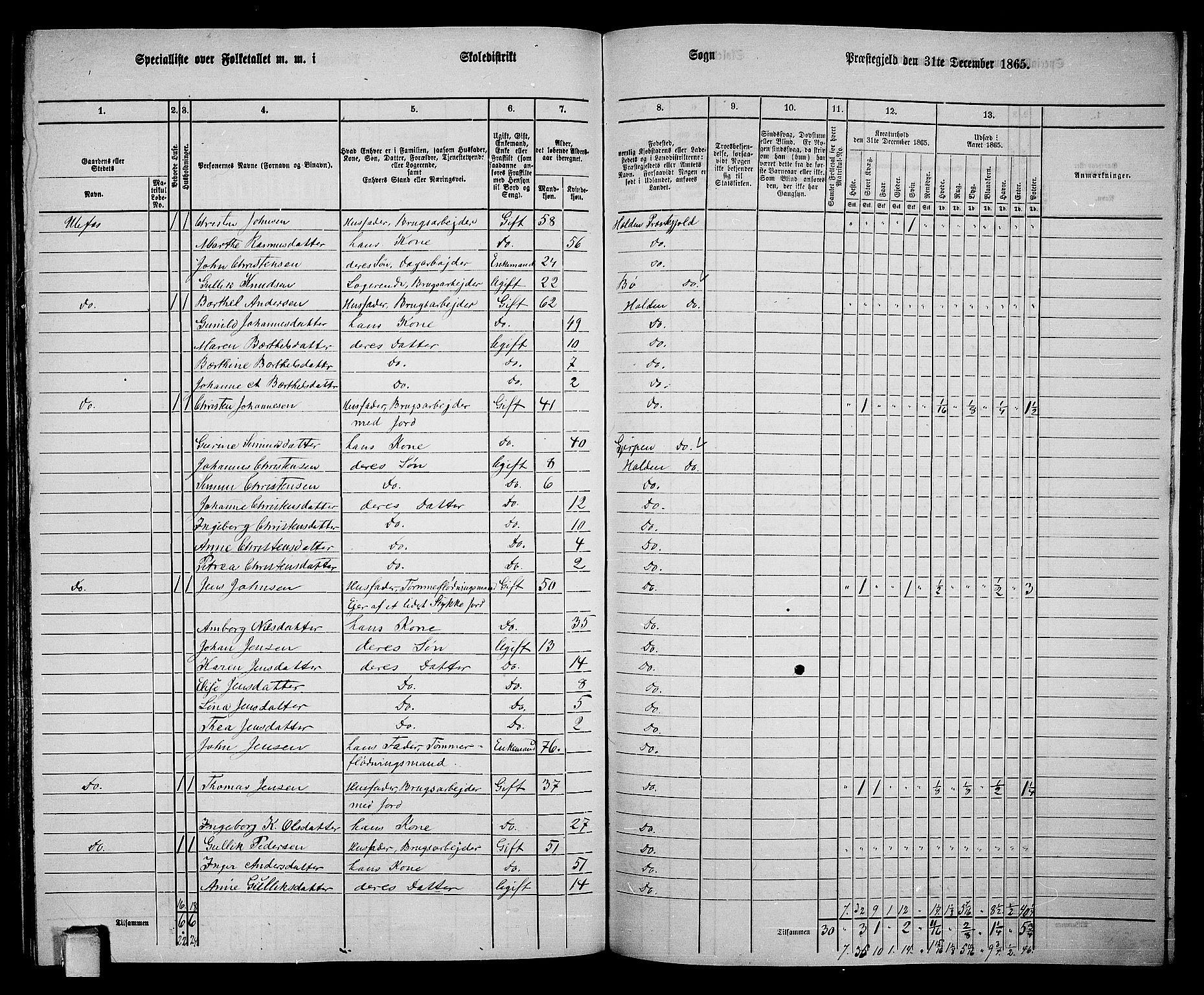 RA, 1865 census for Holla, 1865, p. 136