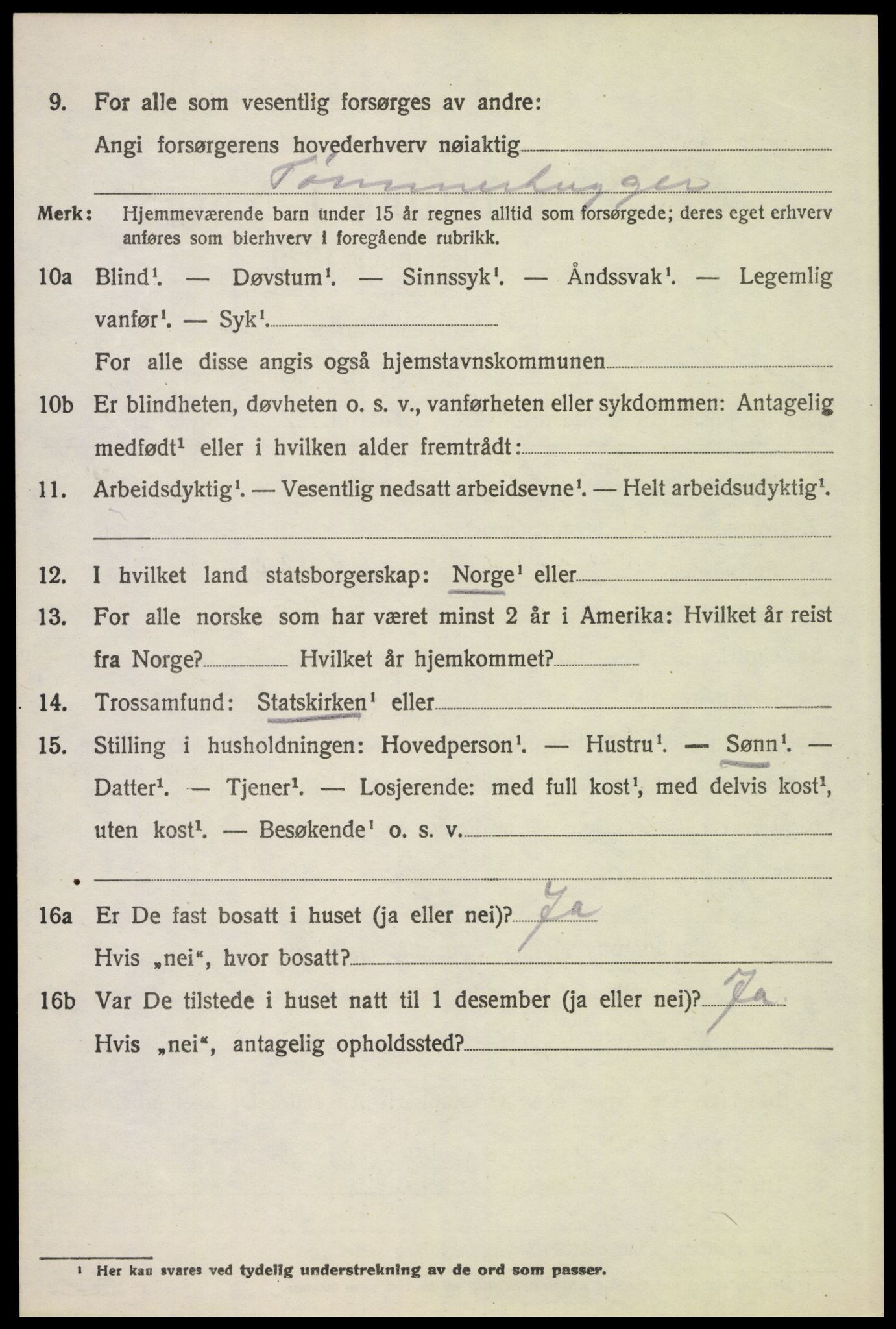 SAH, 1920 census for Stor-Elvdal, 1920, p. 6141
