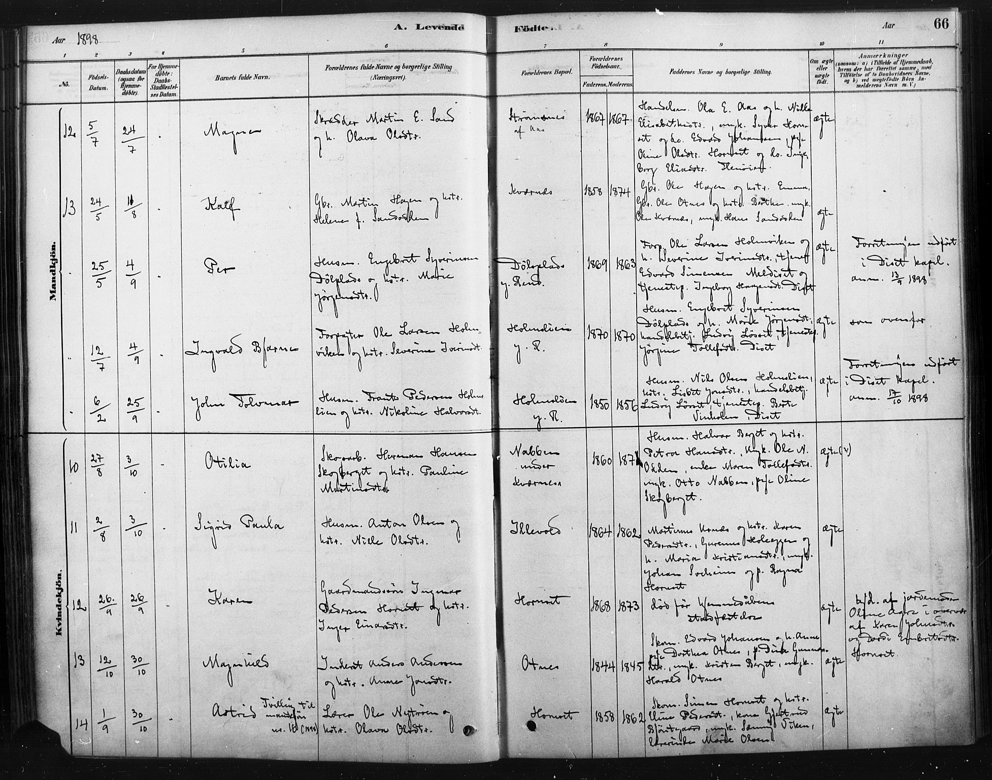 Rendalen prestekontor, AV/SAH-PREST-054/H/Ha/Haa/L0010: Parish register (official) no. 10, 1878-1901, p. 66