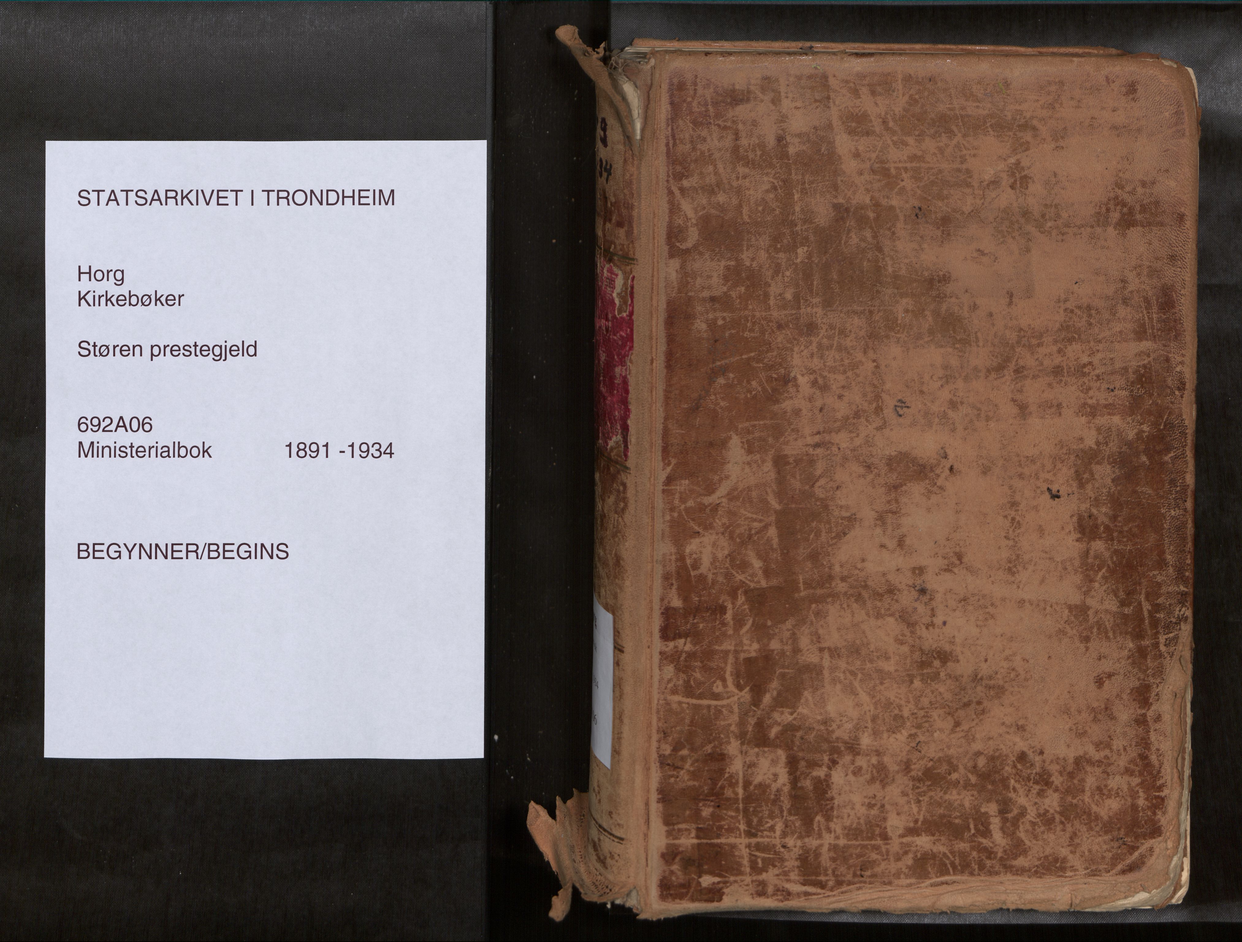 Ministerialprotokoller, klokkerbøker og fødselsregistre - Sør-Trøndelag, AV/SAT-A-1456/692/L1105b: Parish register (official) no. 692A06, 1891-1934