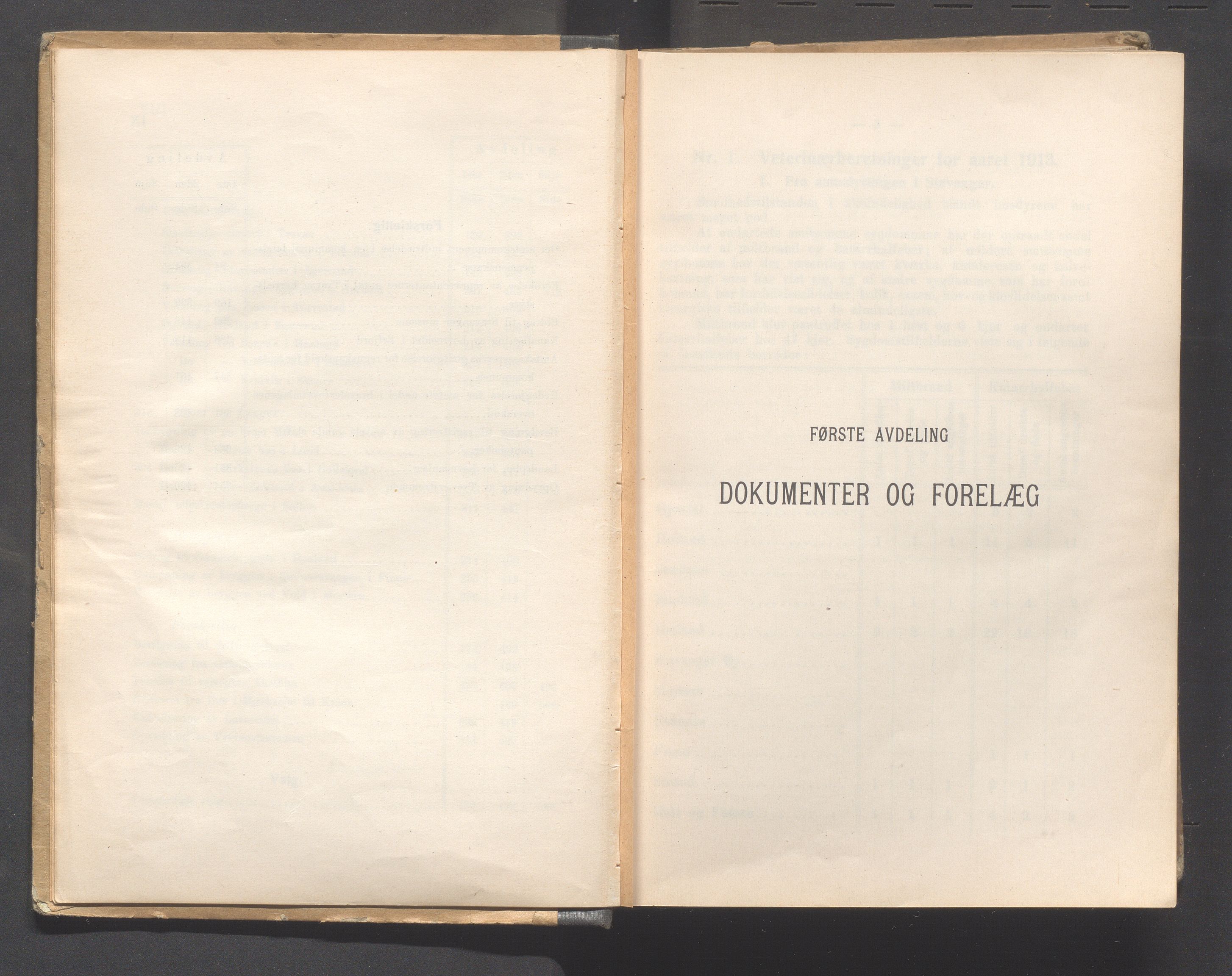 Rogaland fylkeskommune - Fylkesrådmannen , IKAR/A-900/A, 1915, p. 7