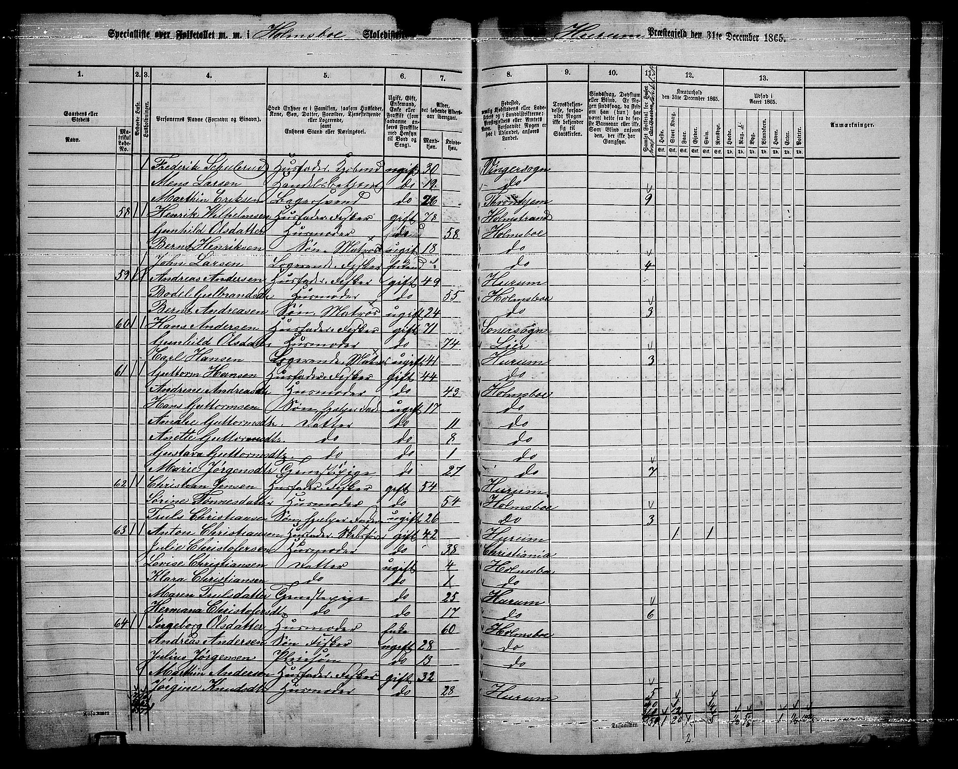 RA, 1865 census for Hurum, 1865, p. 117