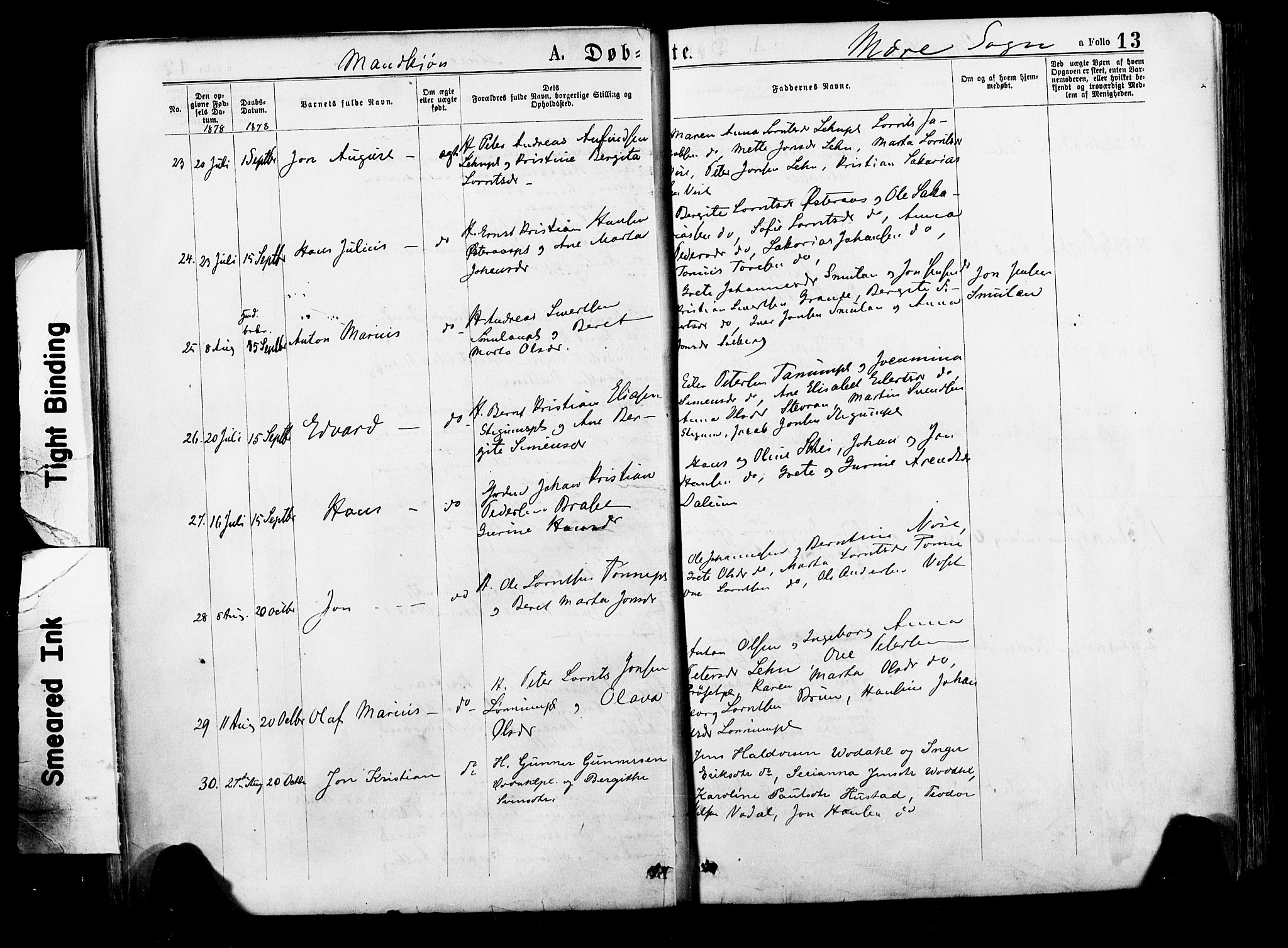 Ministerialprotokoller, klokkerbøker og fødselsregistre - Nord-Trøndelag, SAT/A-1458/735/L0348: Parish register (official) no. 735A09 /1, 1873-1883, p. 13