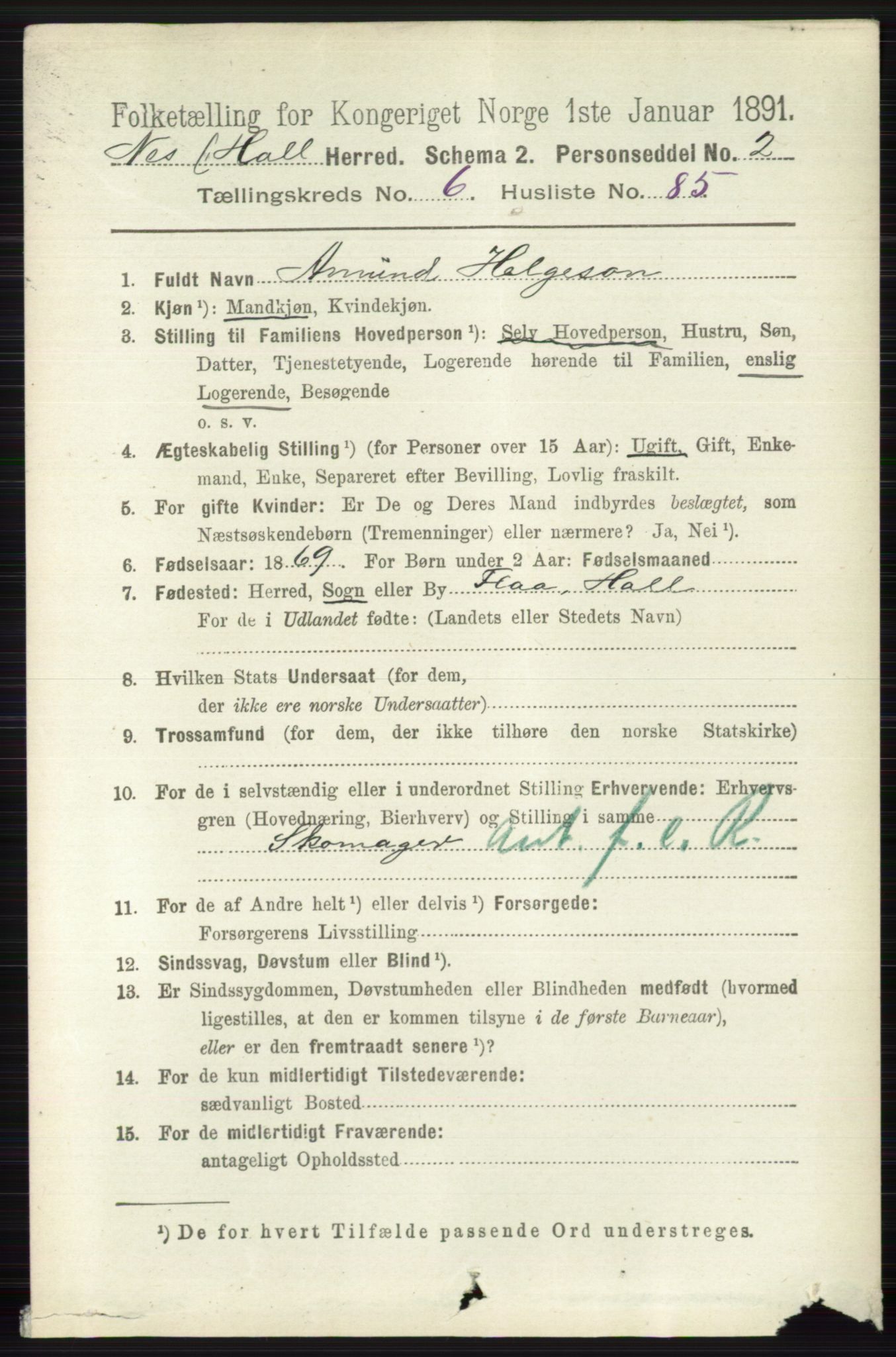 RA, 1891 census for 0616 Nes, 1891, p. 3519