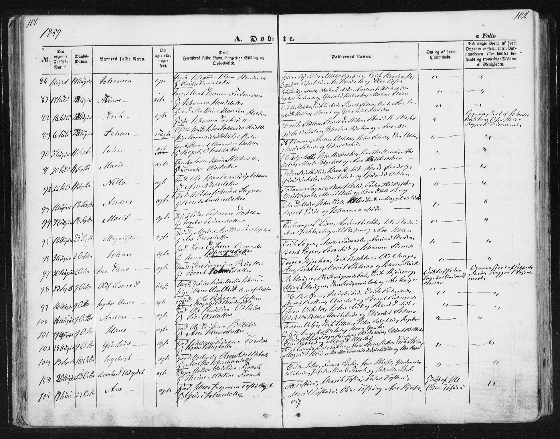 Ministerialprotokoller, klokkerbøker og fødselsregistre - Sør-Trøndelag, SAT/A-1456/630/L0494: Parish register (official) no. 630A07, 1852-1868, p. 101-102