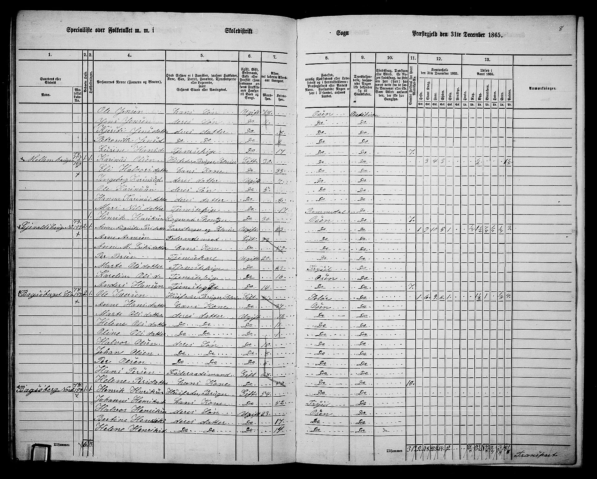 RA, 1865 census for Trysil, 1865, p. 172