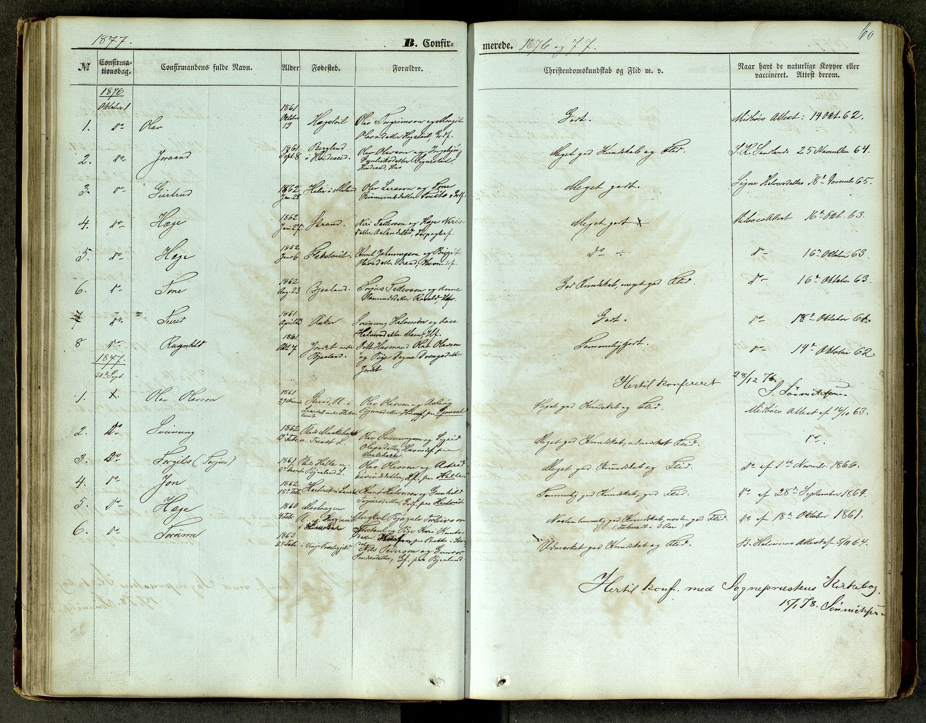 Lårdal kirkebøker, SAKO/A-284/G/Ga/L0002: Parish register (copy) no. I 2, 1861-1890, p. 60