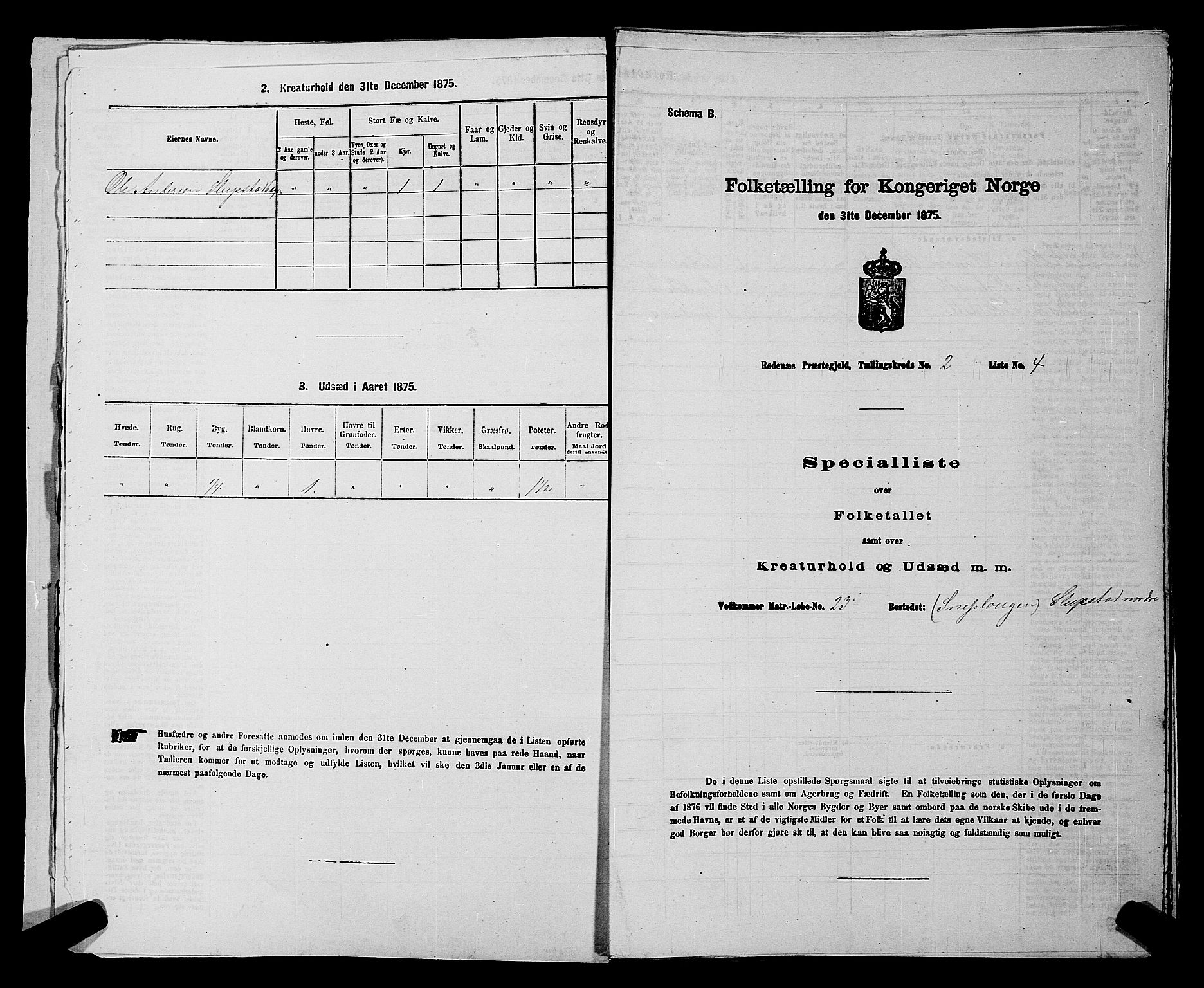 RA, 1875 census for 0120P Rødenes, 1875, p. 194