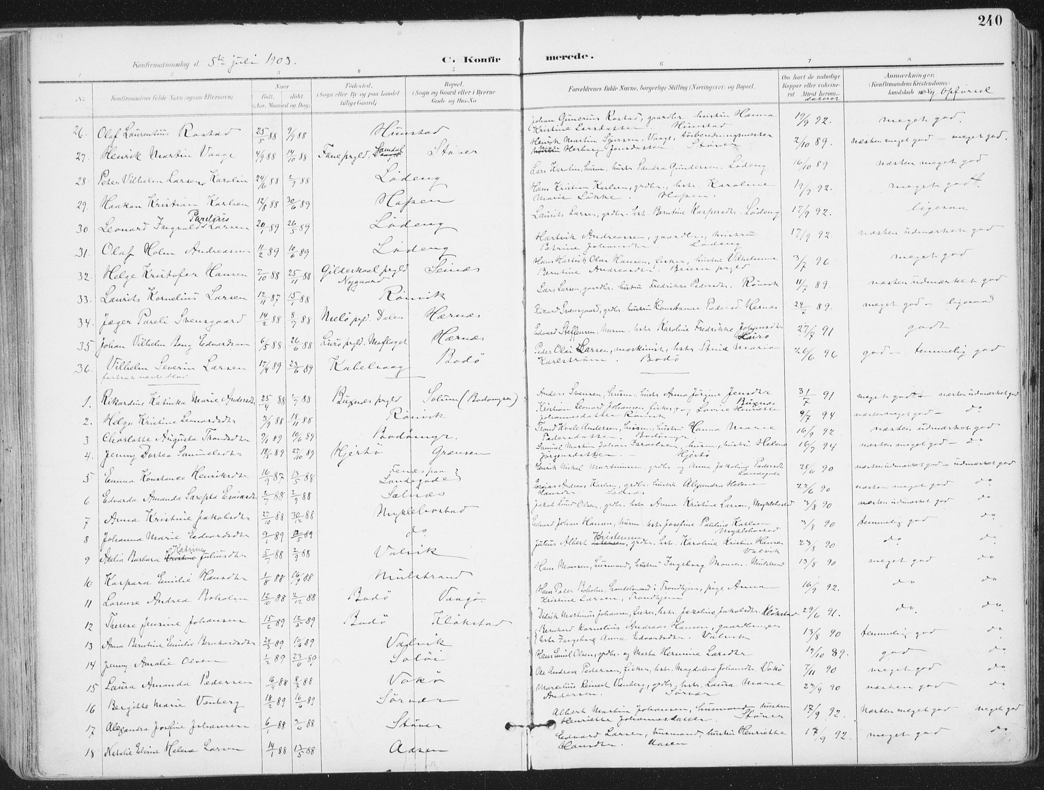 Ministerialprotokoller, klokkerbøker og fødselsregistre - Nordland, AV/SAT-A-1459/802/L0055: Parish register (official) no. 802A02, 1894-1915, p. 240