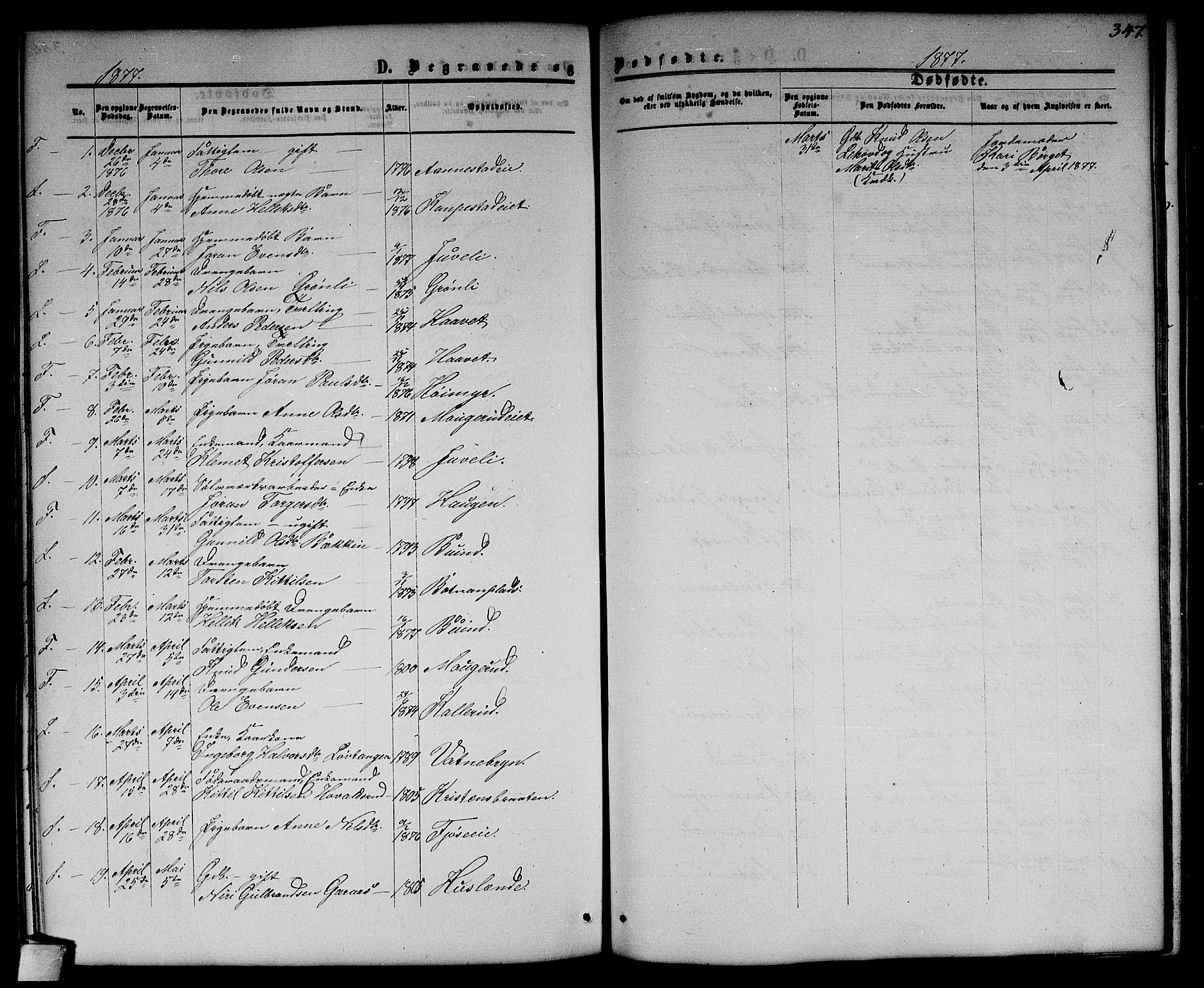 Flesberg kirkebøker, SAKO/A-18/G/Ga/L0003: Parish register (copy) no. I 3, 1861-1889, p. 347