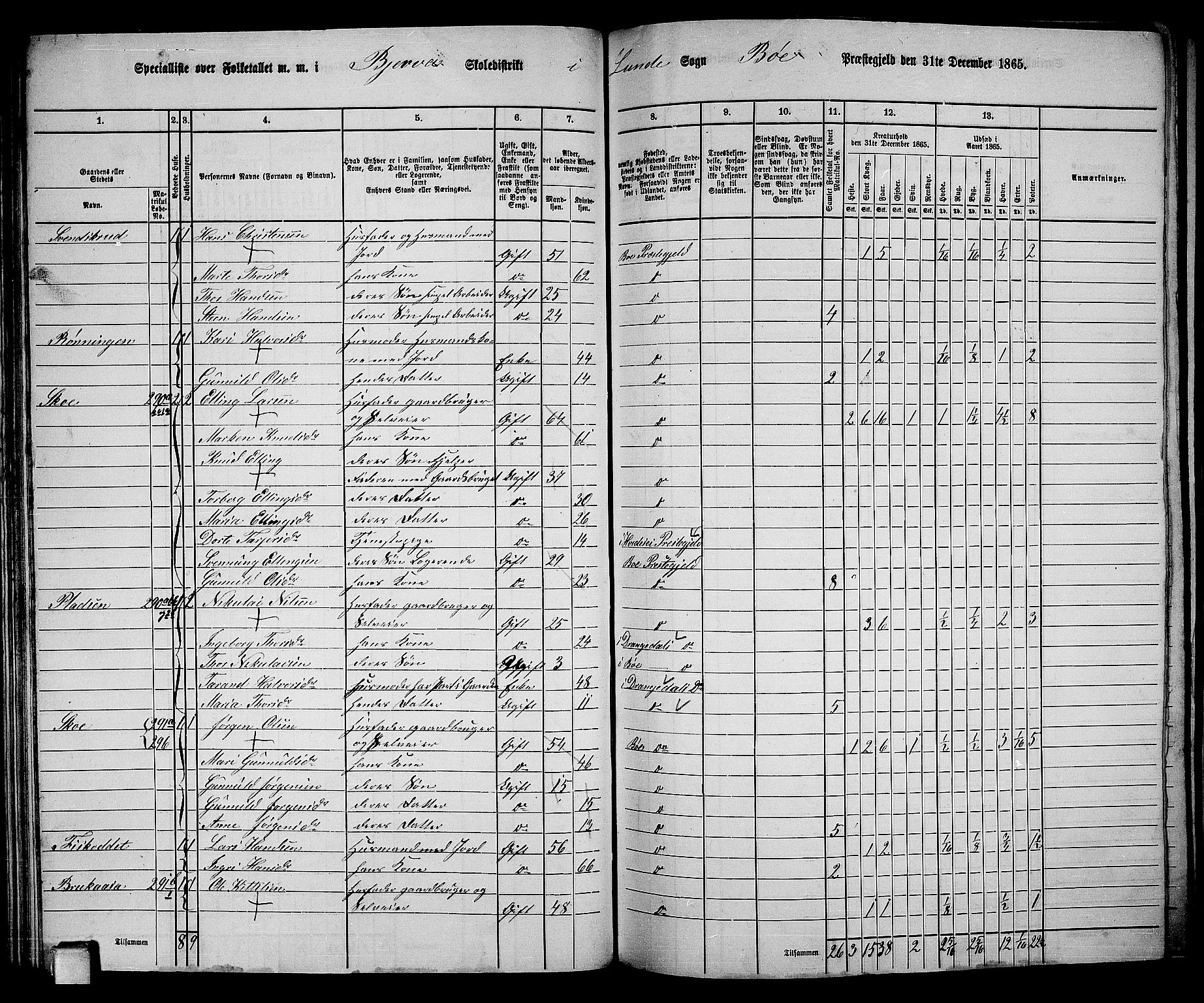 RA, 1865 census for Bø, 1865, p. 51