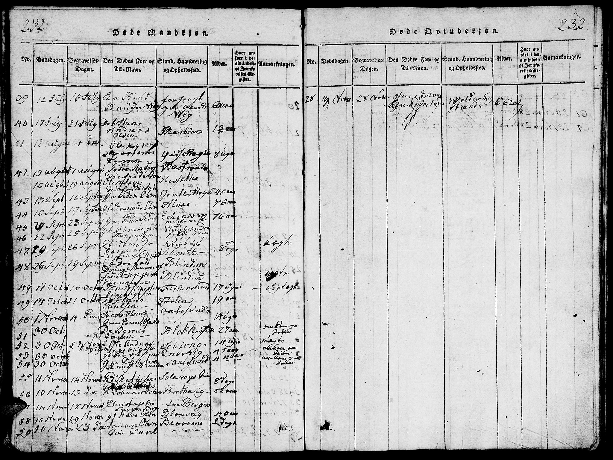 Ministerialprotokoller, klokkerbøker og fødselsregistre - Møre og Romsdal, AV/SAT-A-1454/528/L0423: Parish register (copy) no. 528C04, 1816-1827, p. 232-233