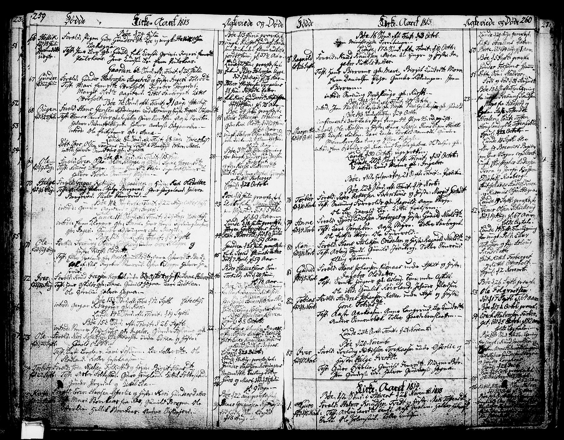 Bø kirkebøker, SAKO/A-257/F/Fa/L0005: Parish register (official) no. 5, 1785-1815, p. 259-260