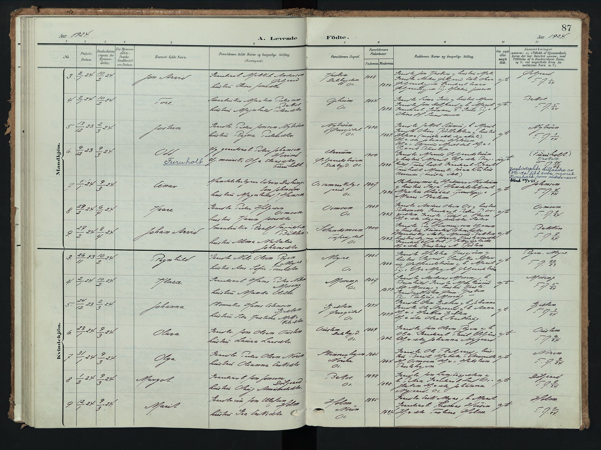 Tolga prestekontor, AV/SAH-PREST-062/K/L0009: Parish register (official) no. 9, 1903-1928, p. 87