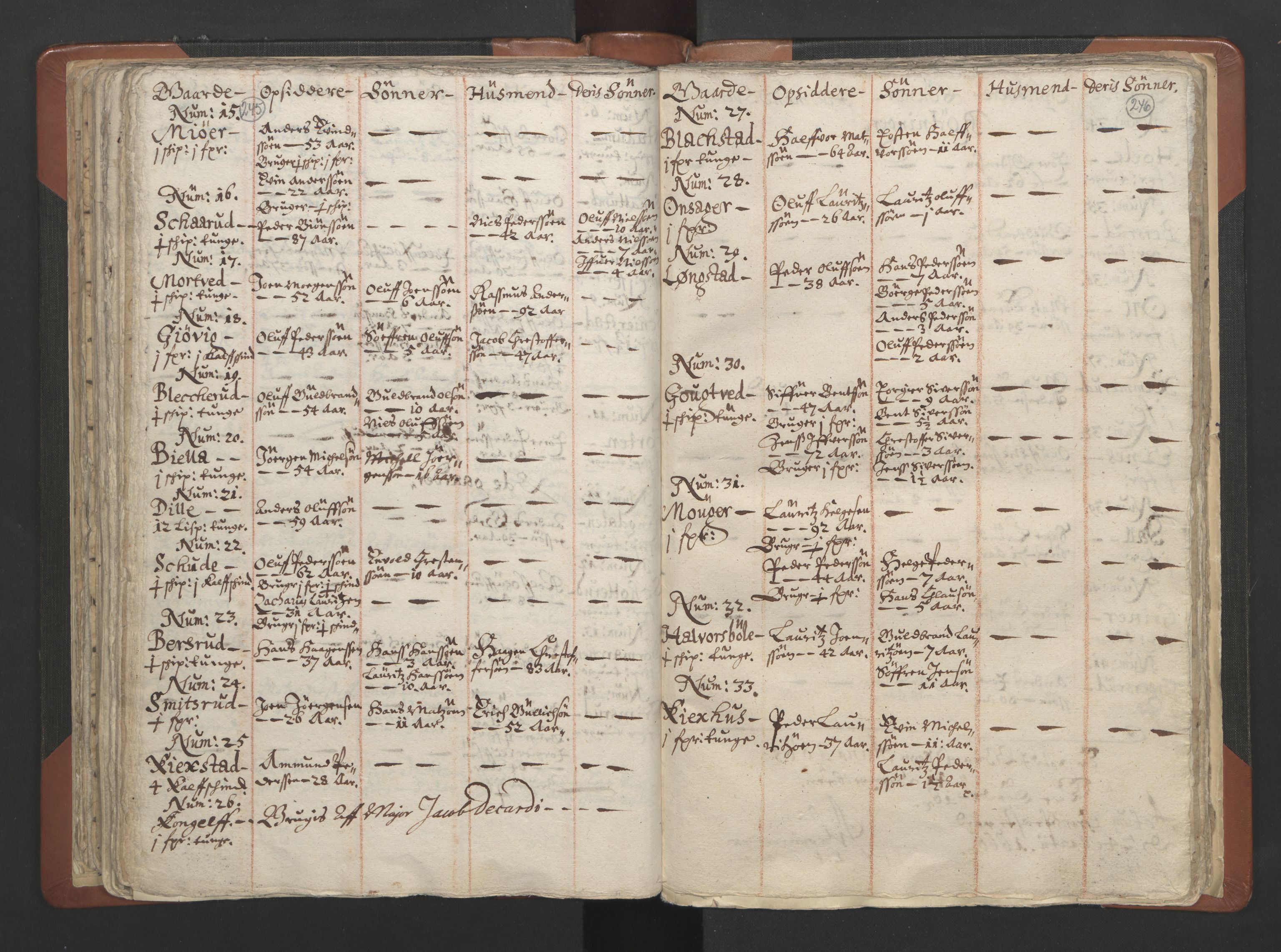 RA, Vicar's Census 1664-1666, no. 7: Hadeland deanery, 1664-1666, p. 245-246