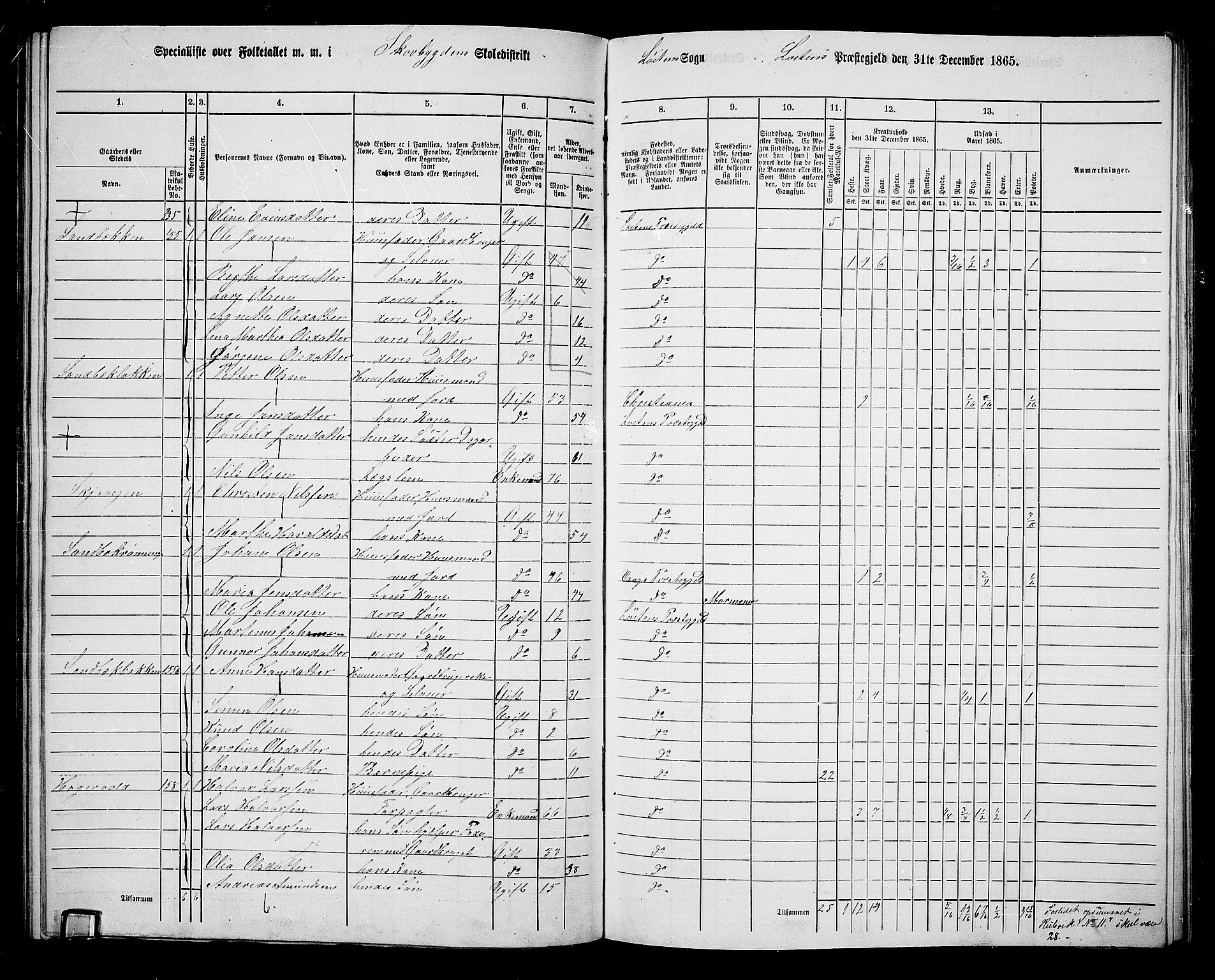 RA, 1865 census for Løten, 1865, p. 116