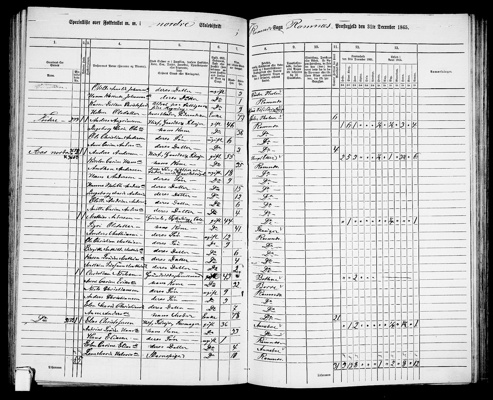 RA, 1865 census for Ramnes, 1865, p. 66