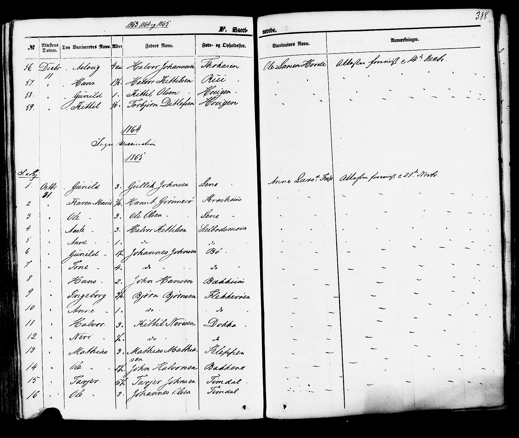 Hjartdal kirkebøker, SAKO/A-270/F/Fa/L0009: Parish register (official) no. I 9, 1860-1879, p. 388