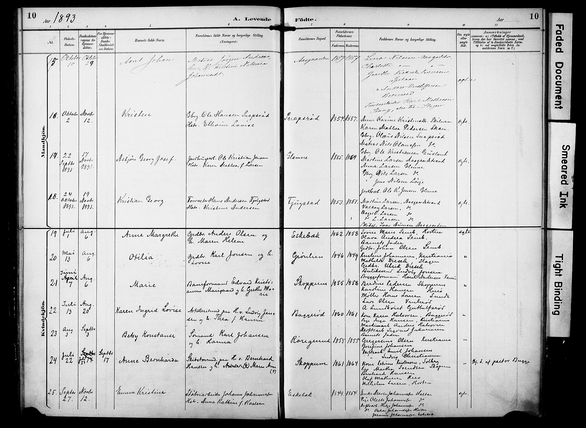 Borre kirkebøker, AV/SAKO-A-338/F/Fa/L0010: Parish register (official) no. I 10, 1892-1896, p. 10