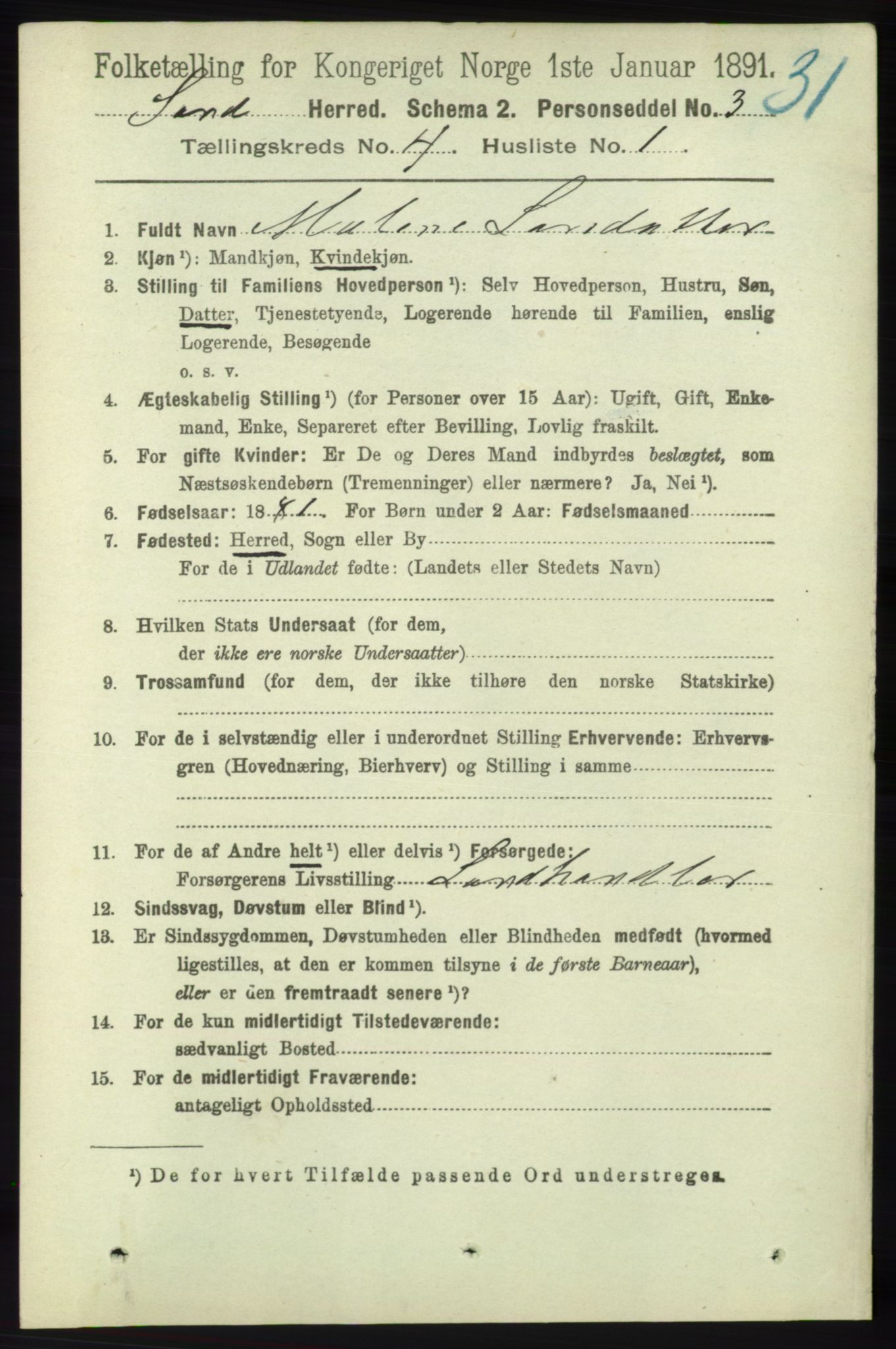 RA, 1891 census for 1136 Sand, 1891, p. 1208