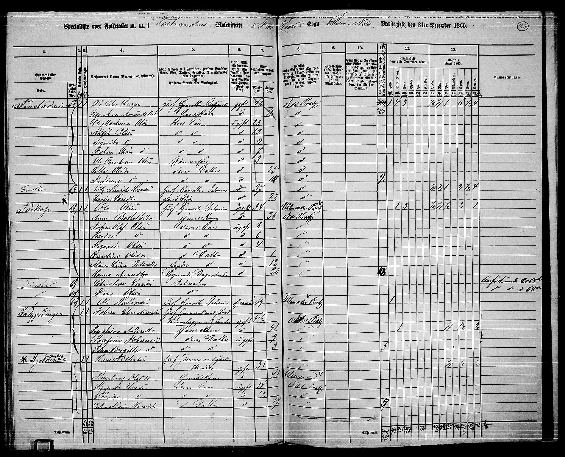 RA, 1865 census for Nes, 1865, p. 88