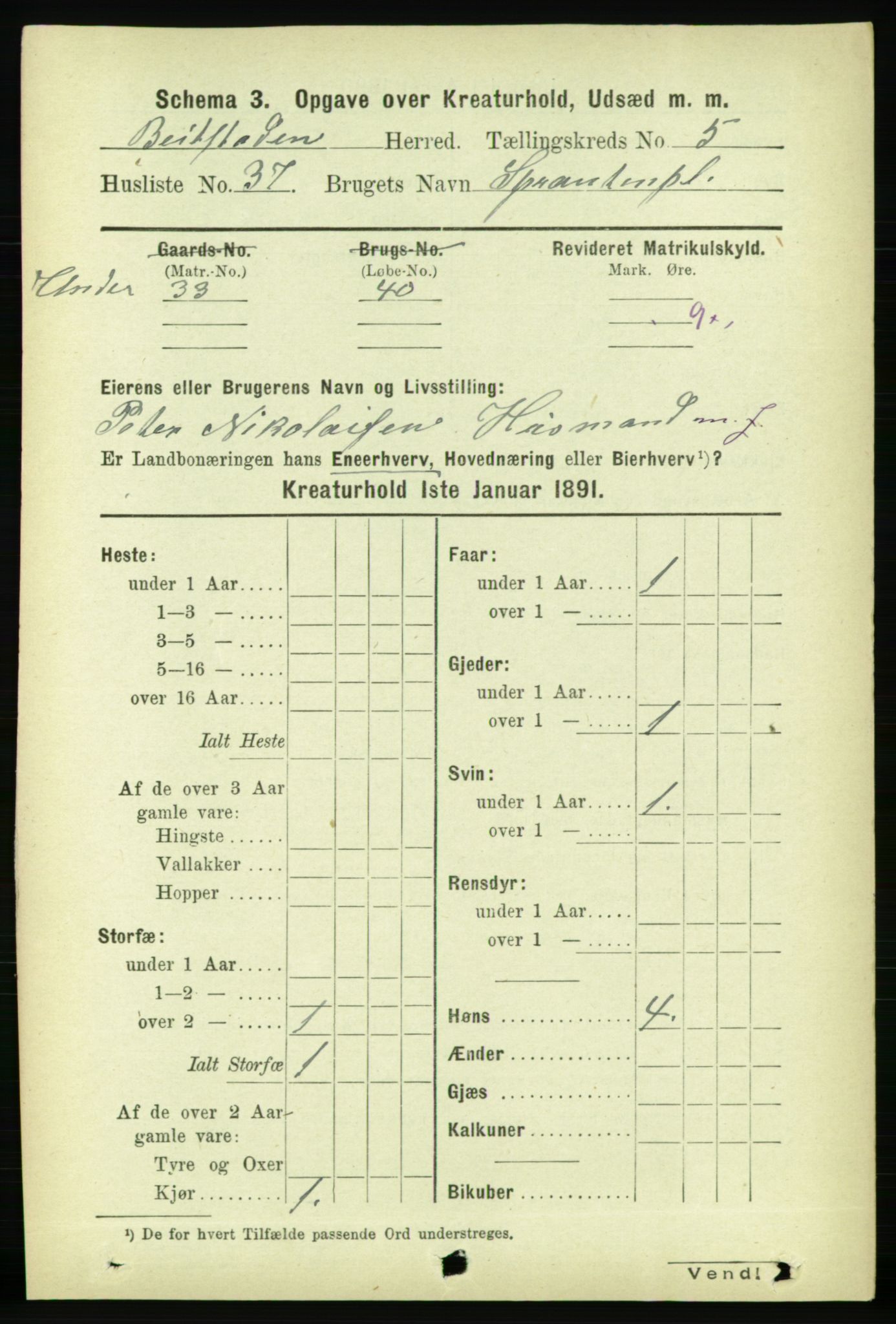 RA, 1891 census for 1727 Beitstad, 1891, p. 5867