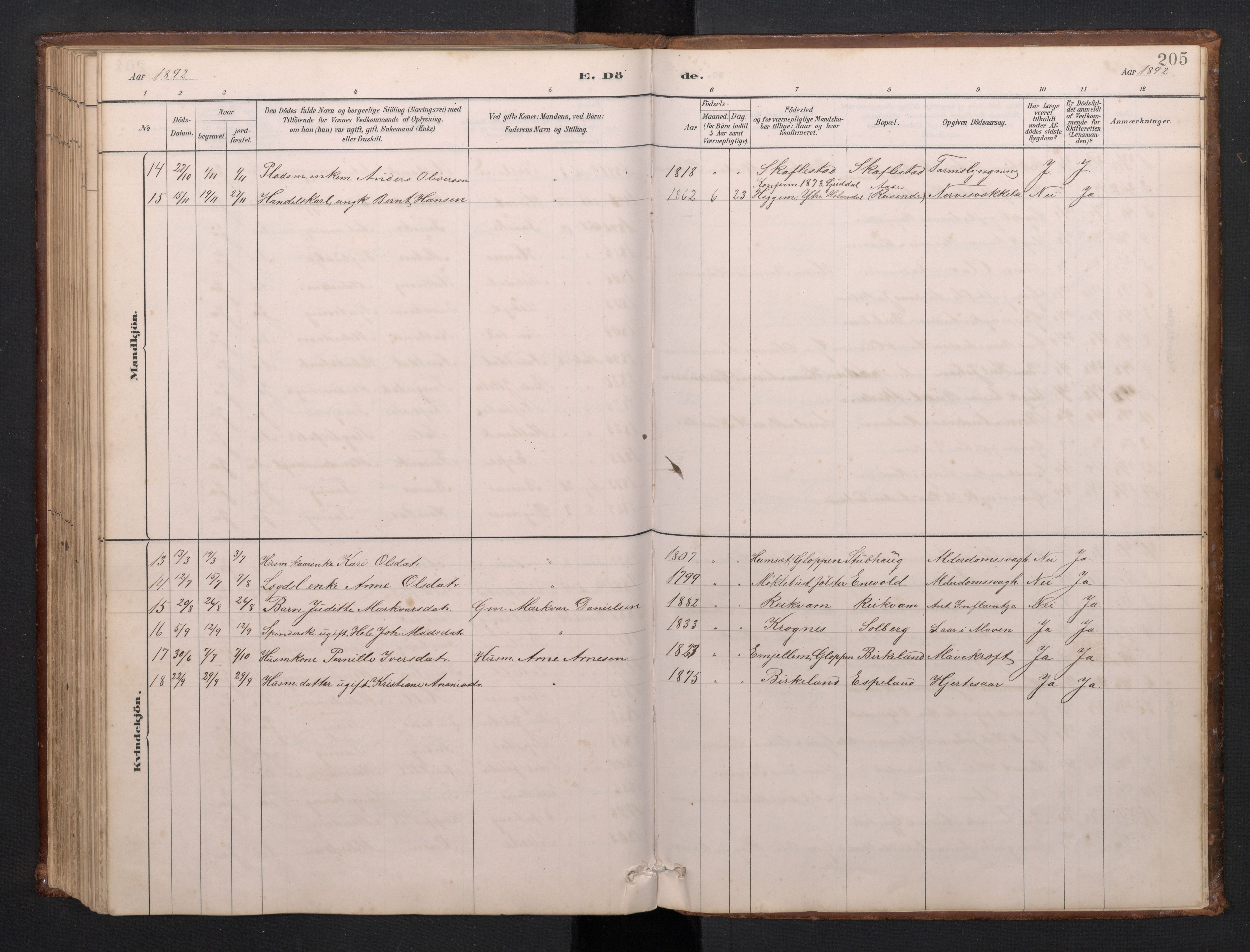 Førde sokneprestembete, AV/SAB-A-79901/H/Hab/Habd/L0003: Parish register (copy) no. D 3, 1881-1897, p. 204b-205a