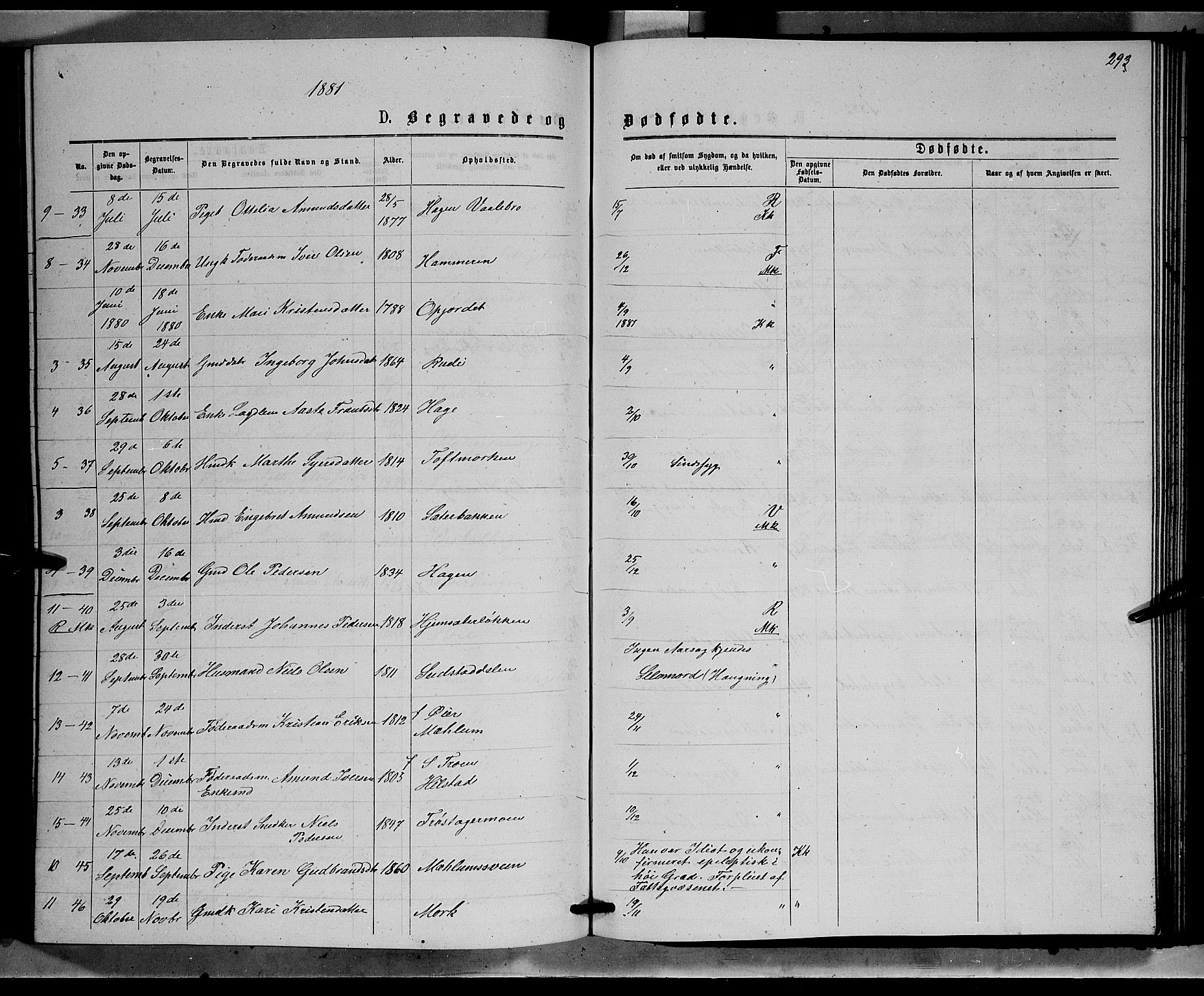 Ringebu prestekontor, SAH/PREST-082/H/Ha/Hab/L0006: Parish register (copy) no. 6, 1880-1898, p. 293