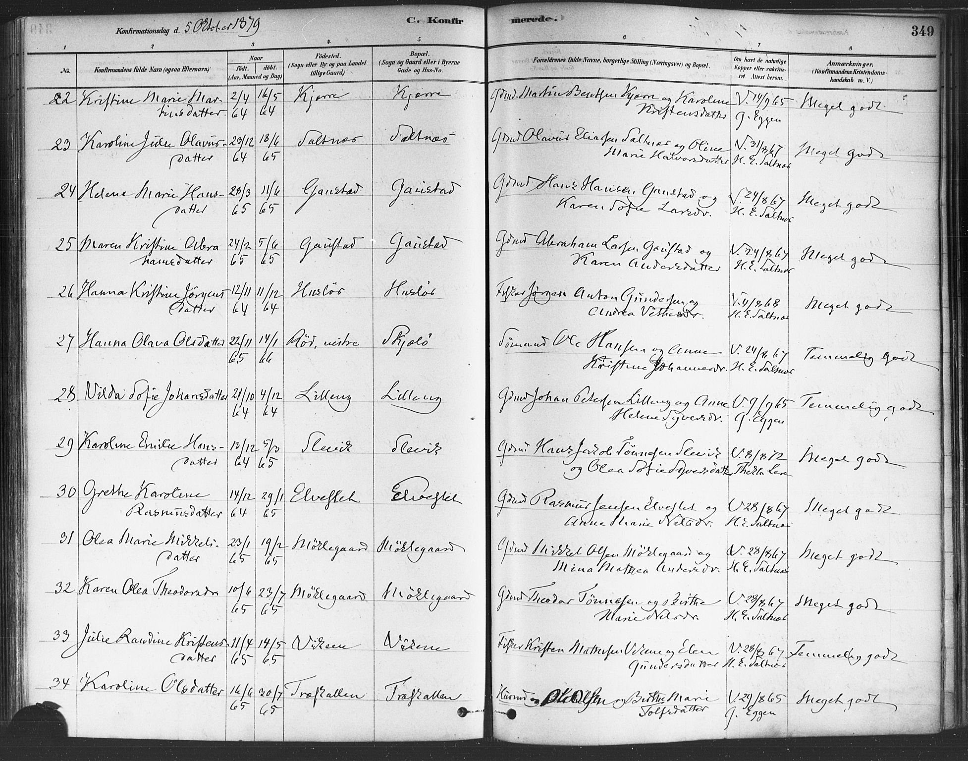 Onsøy prestekontor Kirkebøker, SAO/A-10914/F/Fa/L0005: Parish register (official) no. I 5, 1878-1898, p. 349