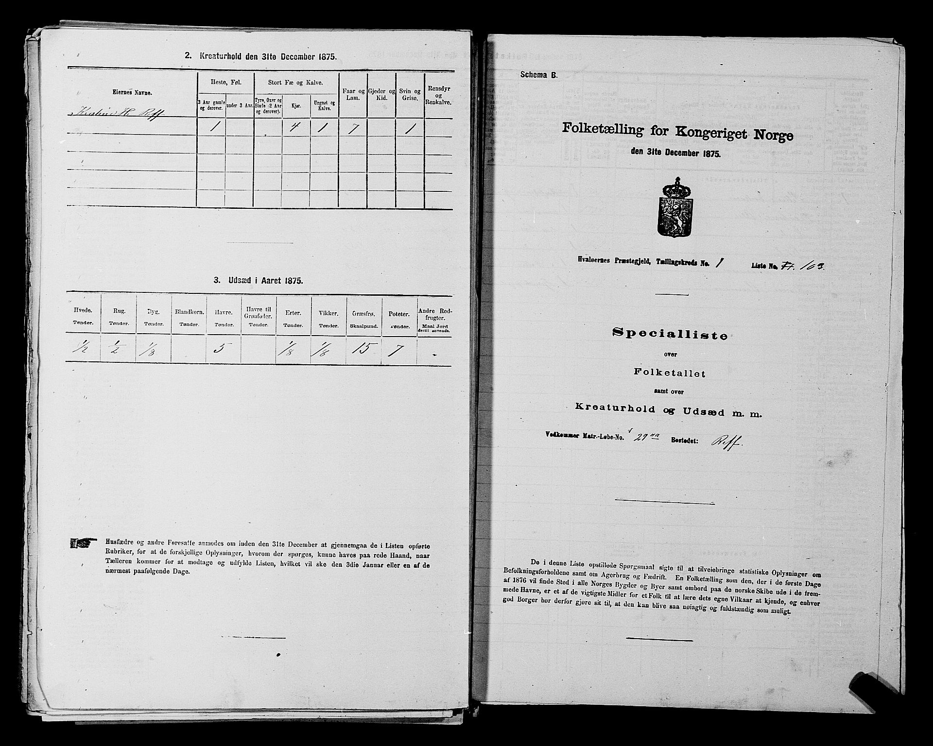 RA, 1875 census for 0111P Hvaler, 1875, p. 246