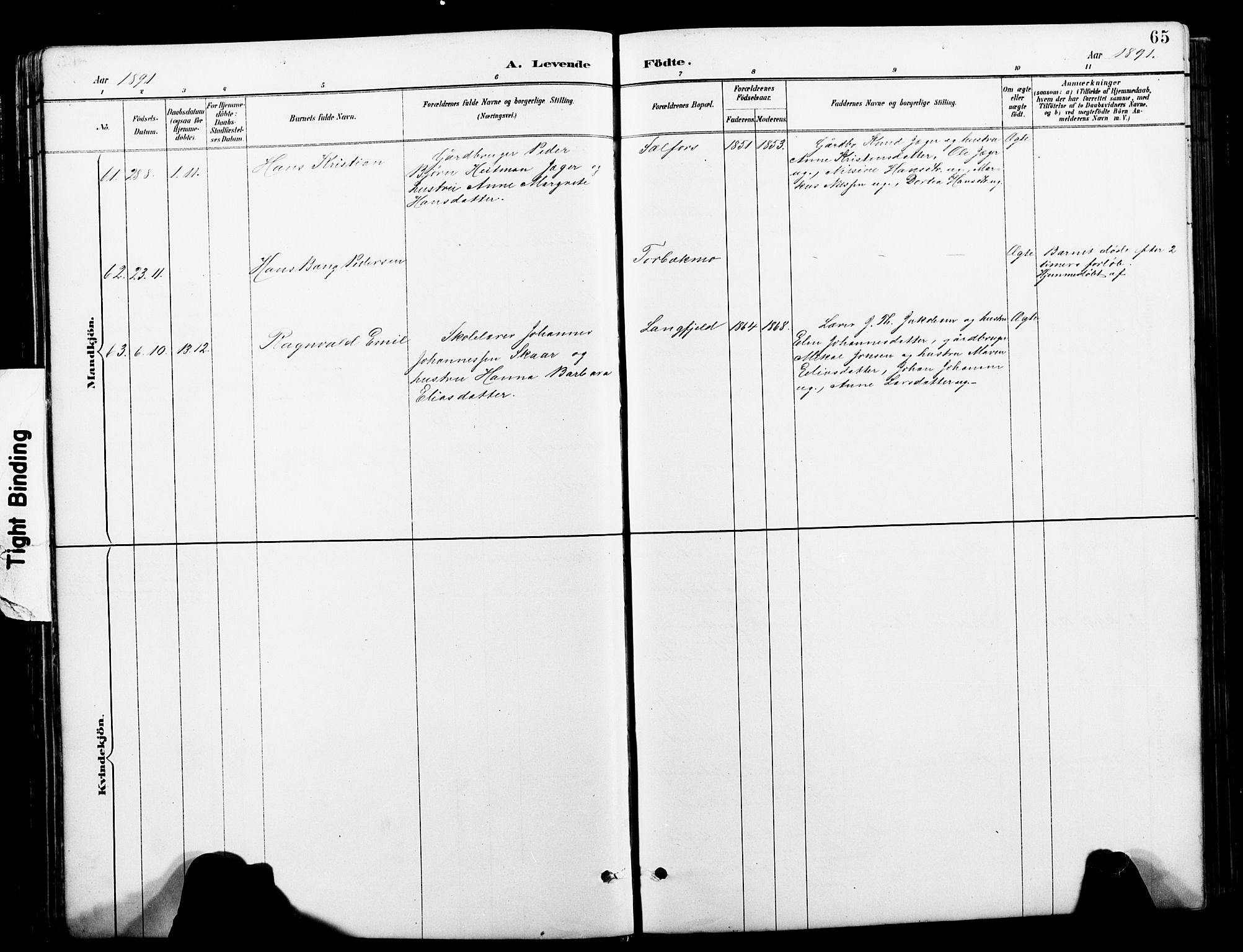 Ministerialprotokoller, klokkerbøker og fødselsregistre - Nordland, AV/SAT-A-1459/827/L0421: Parish register (copy) no. 827C10, 1887-1906, p. 65