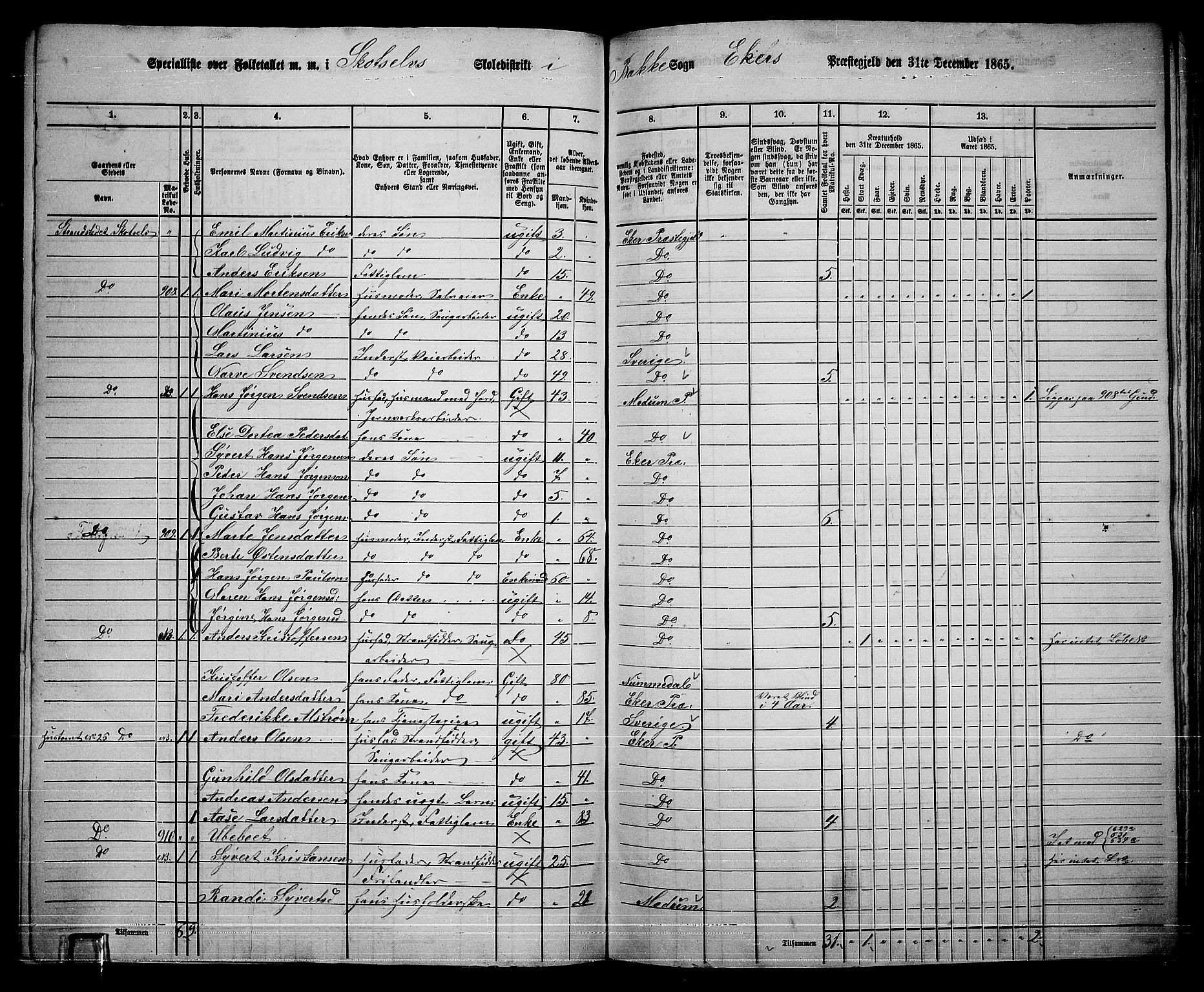 RA, 1865 census for Eiker, 1865, p. 477