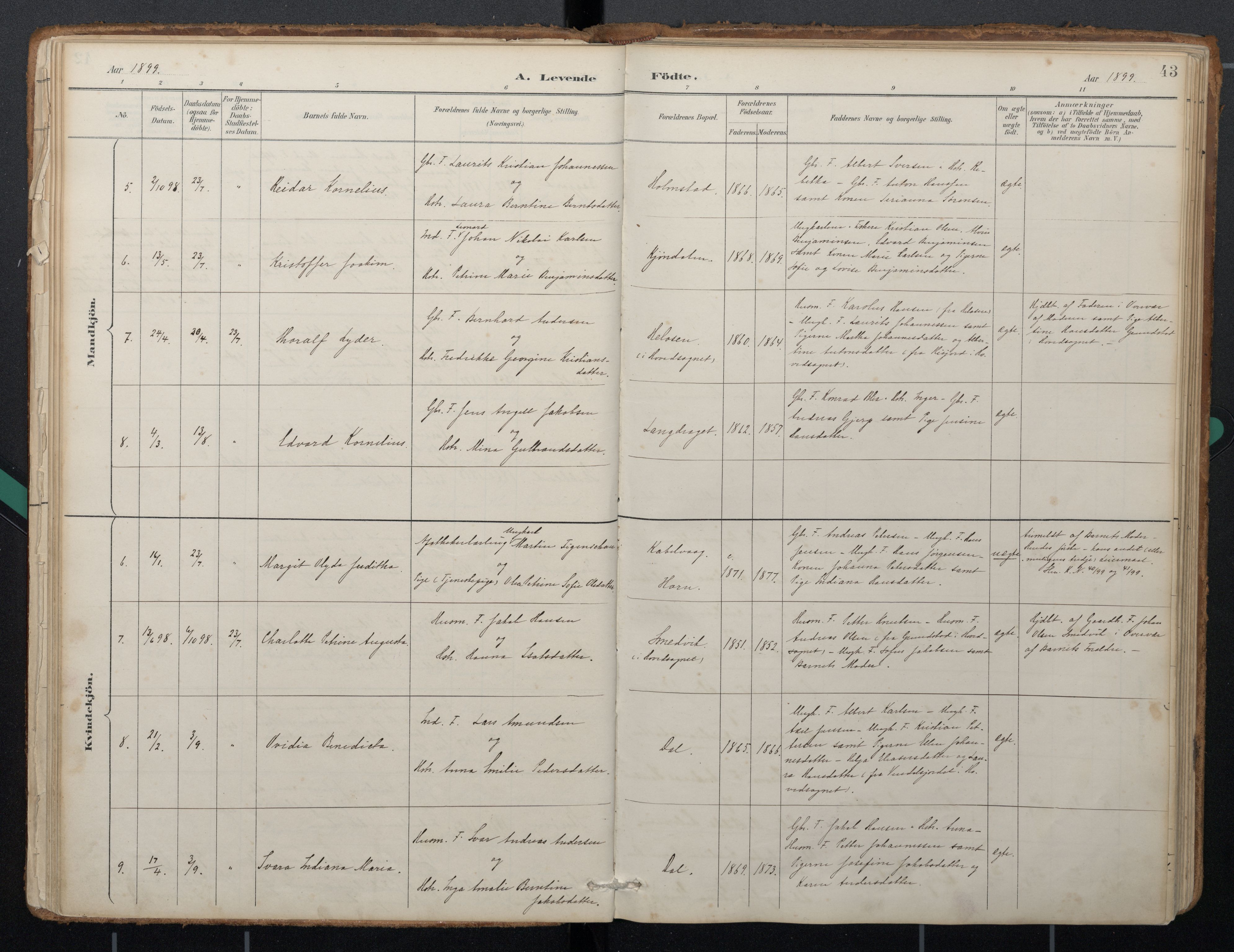 Ministerialprotokoller, klokkerbøker og fødselsregistre - Nordland, SAT/A-1459/884/L1193: Parish register (official) no. 884A01, 1888-1905, p. 43