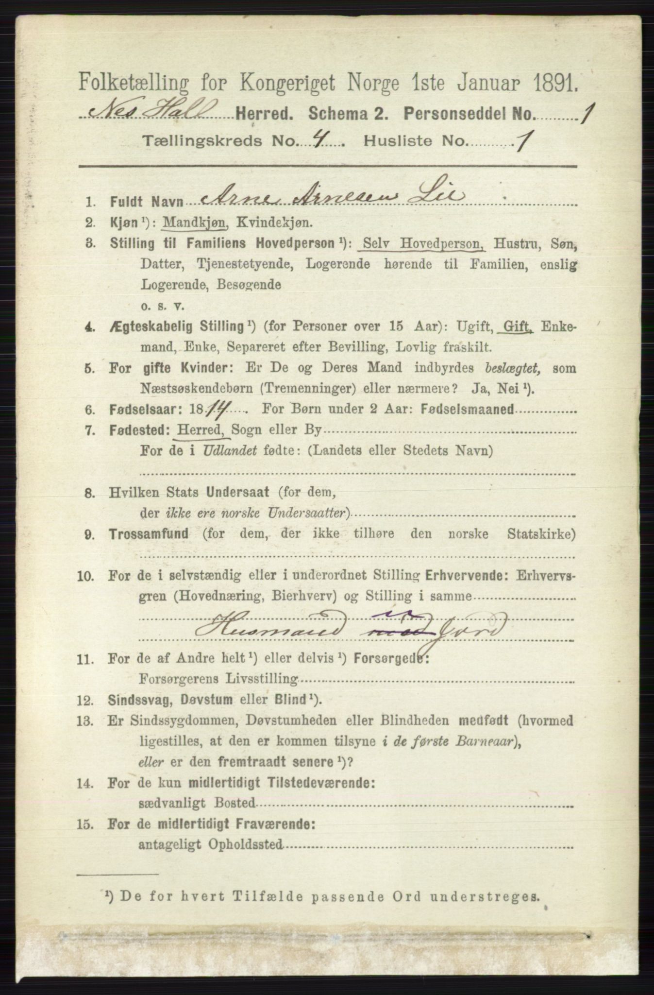 RA, 1891 census for 0616 Nes, 1891, p. 2113