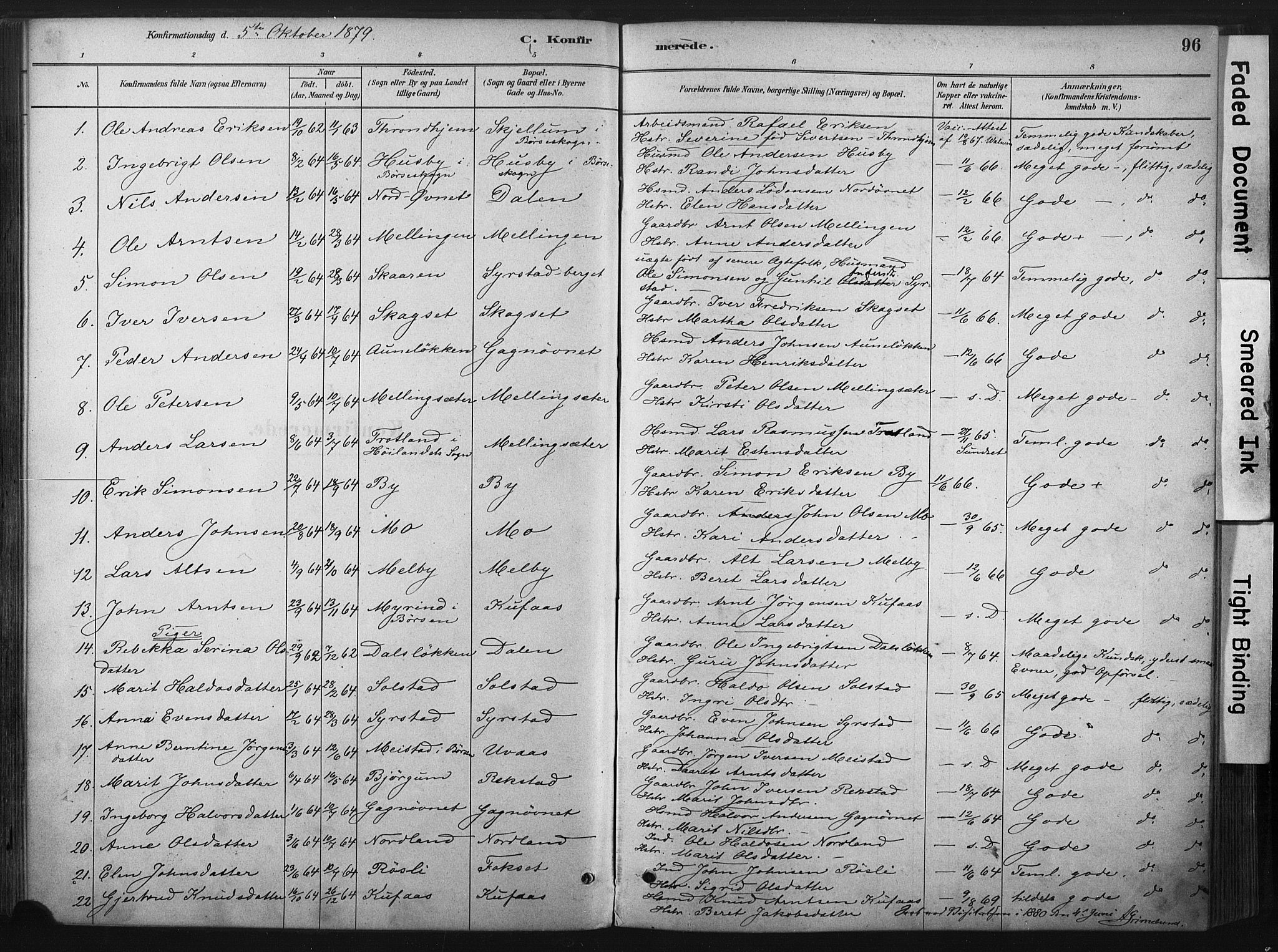 Ministerialprotokoller, klokkerbøker og fødselsregistre - Sør-Trøndelag, SAT/A-1456/667/L0795: Parish register (official) no. 667A03, 1879-1907, p. 96