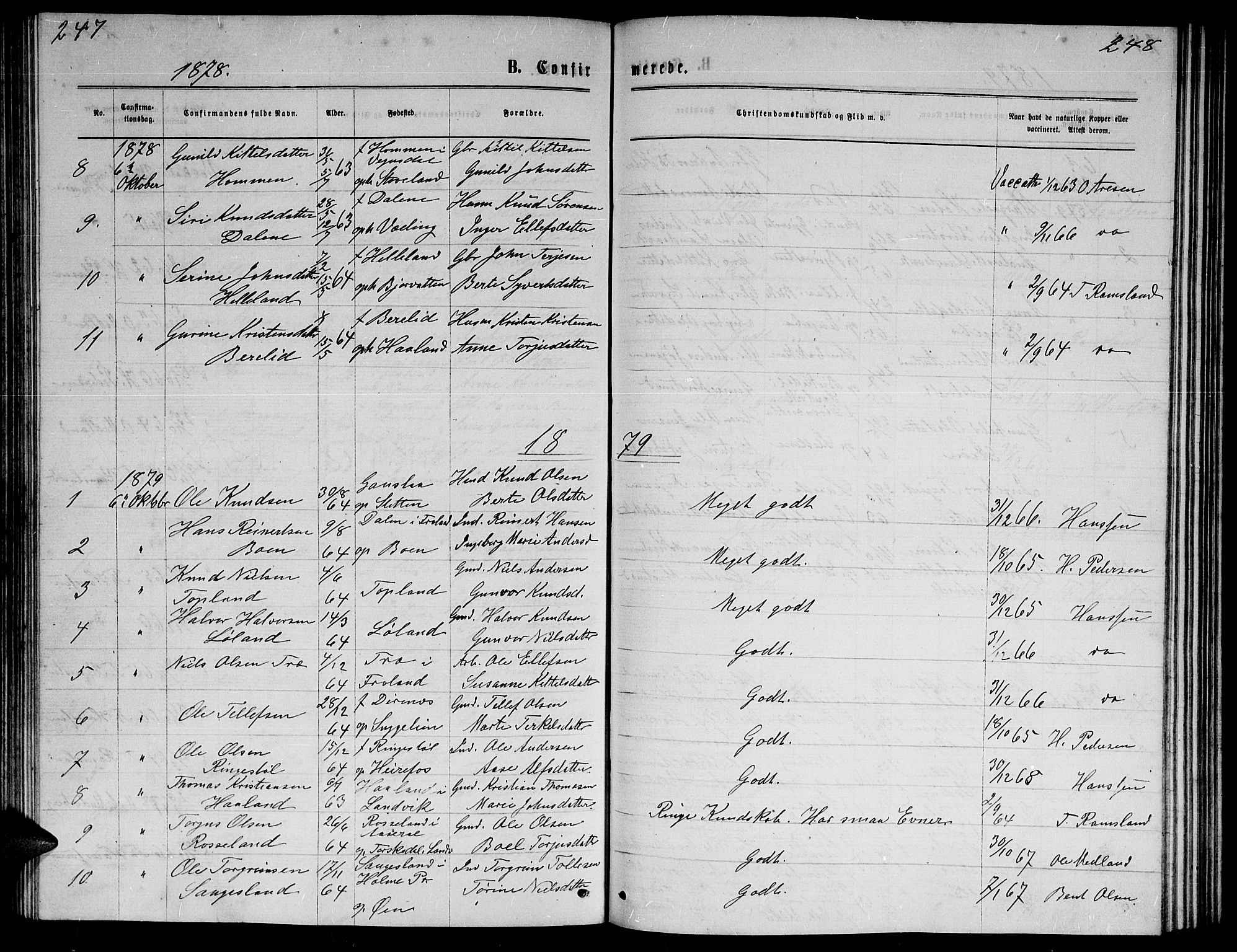 Herefoss sokneprestkontor, AV/SAK-1111-0019/F/Fb/Fba/L0002: Parish register (copy) no. B 2, 1868-1886, p. 247-248