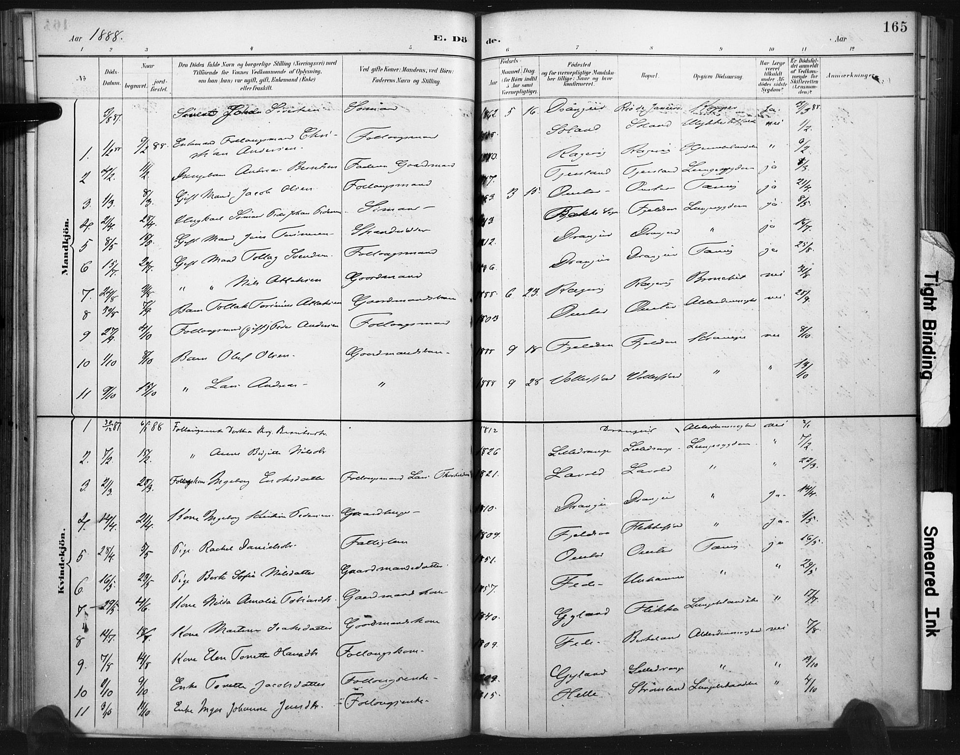 Flekkefjord sokneprestkontor, SAK/1111-0012/F/Fa/Fac/L0008: Parish register (official) no. A 8, 1885-1898, p. 165