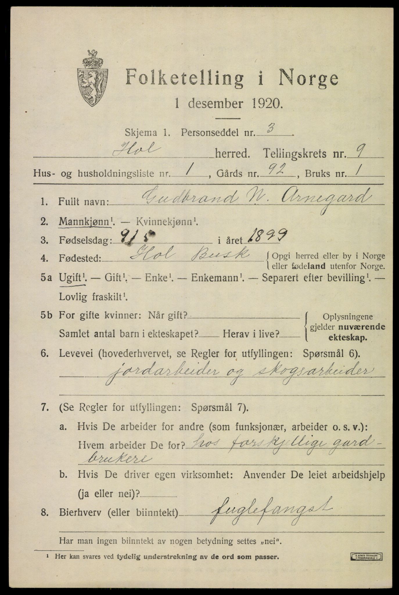 SAKO, 1920 census for Hol (Buskerud), 1920, p. 4933