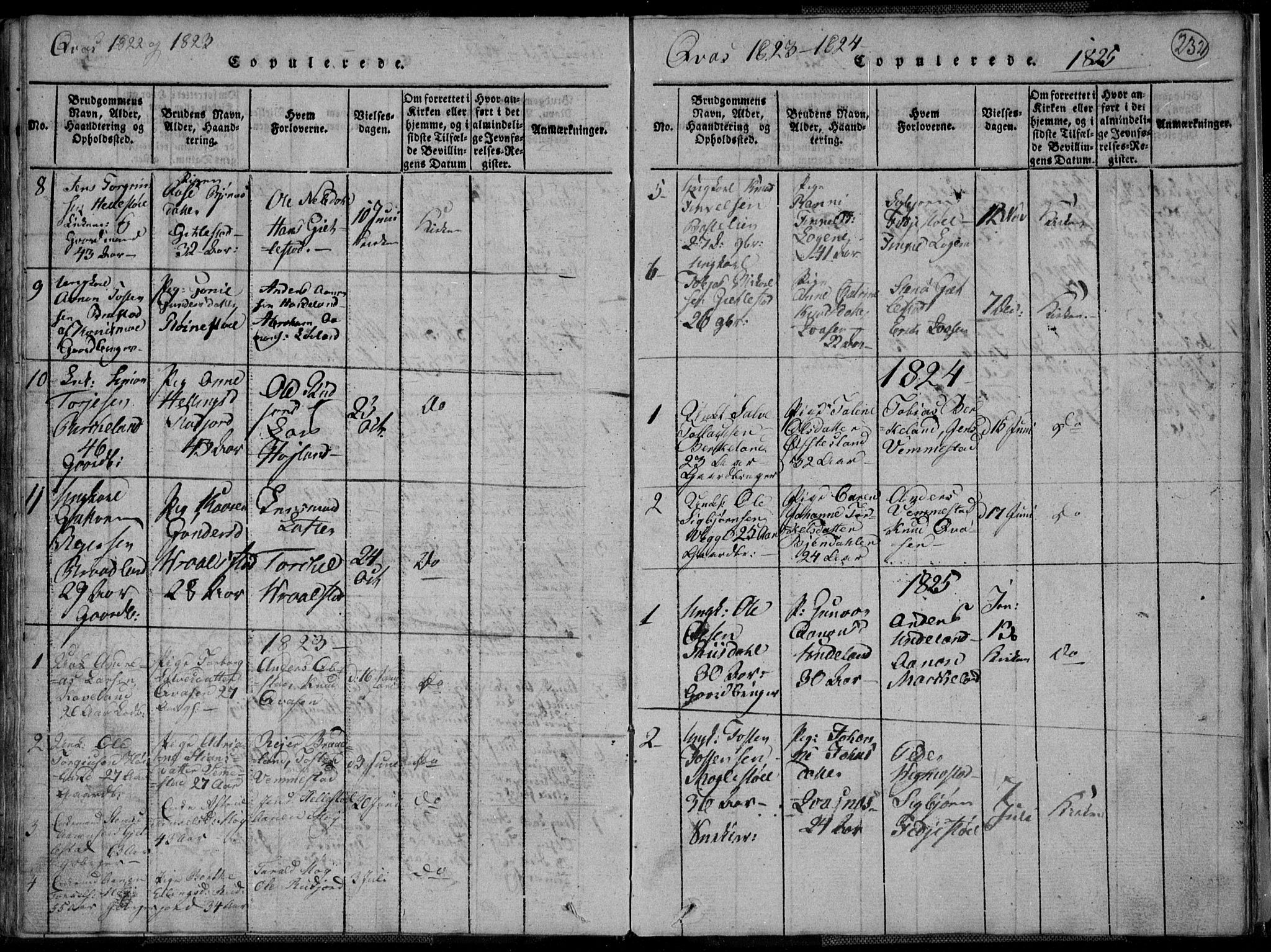 Lyngdal sokneprestkontor, SAK/1111-0029/F/Fa/Fac/L0006: Parish register (official) no. A 6, 1815-1825, p. 232