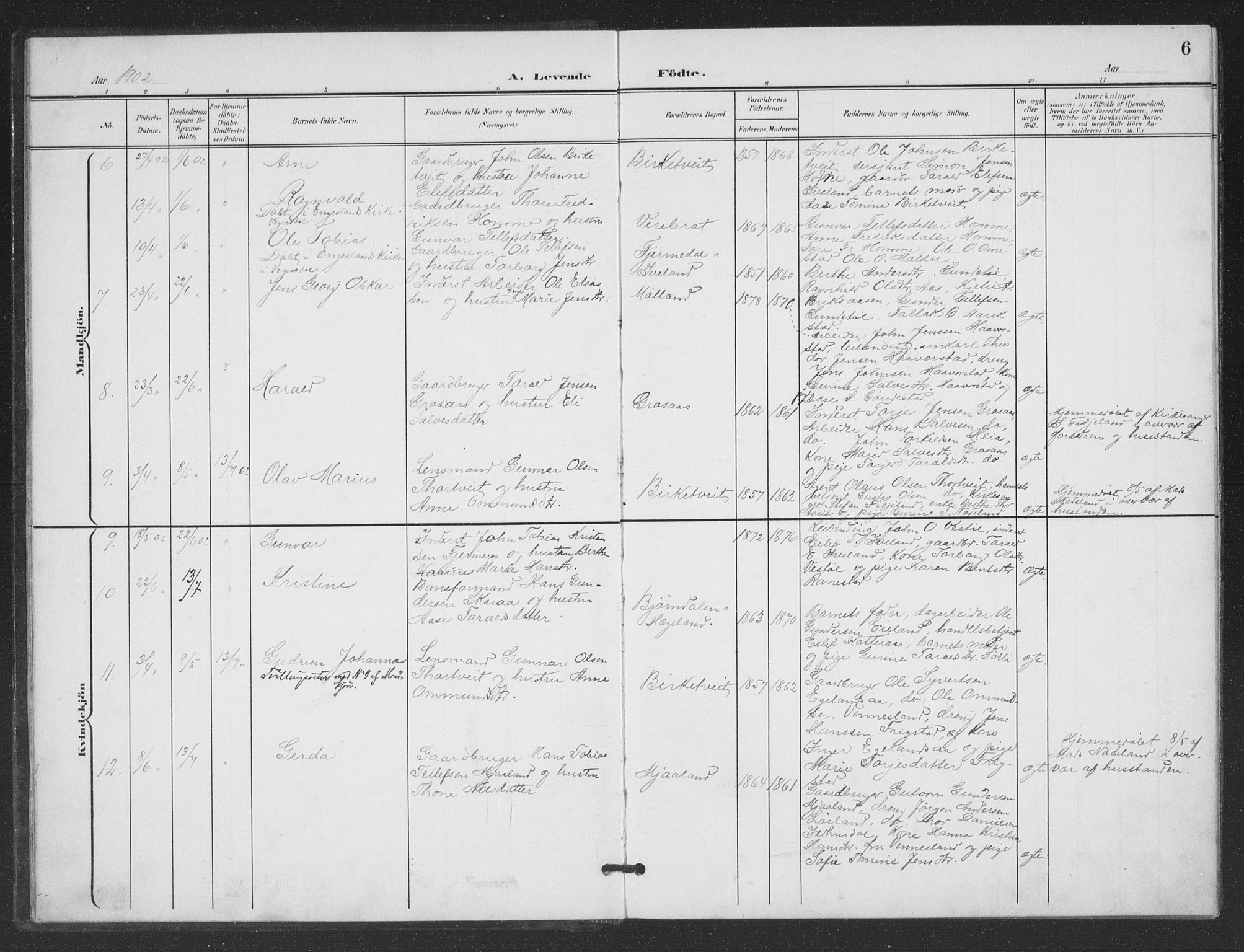 Evje sokneprestkontor, AV/SAK-1111-0008/F/Fb/Fbc/L0005: Parish register (copy) no. B 5, 1901-1935, p. 6