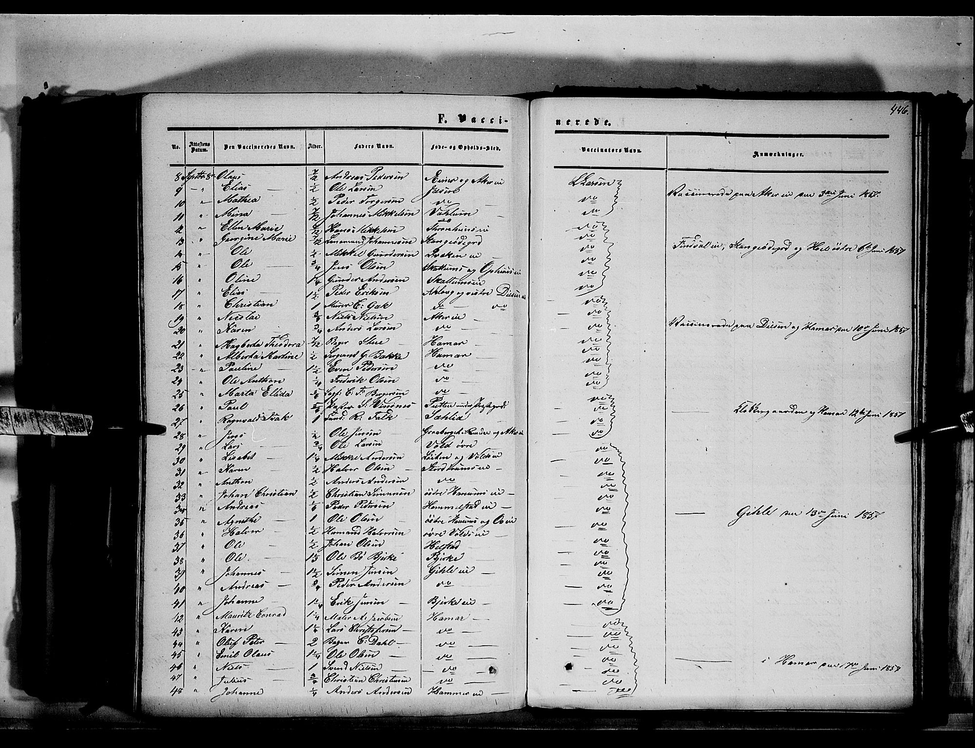 Vang prestekontor, Hedmark, AV/SAH-PREST-008/H/Ha/Haa/L0012: Parish register (official) no. 12, 1855-1870, p. 446