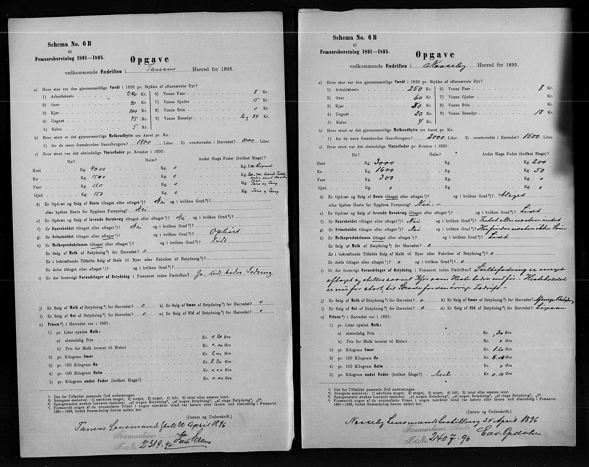 Statistisk sentralbyrå, Næringsøkonomiske emner, Generelt - Amtmennenes femårsberetninger, AV/RA-S-2233/F/Fa/L0080: --, 1895, p. 257