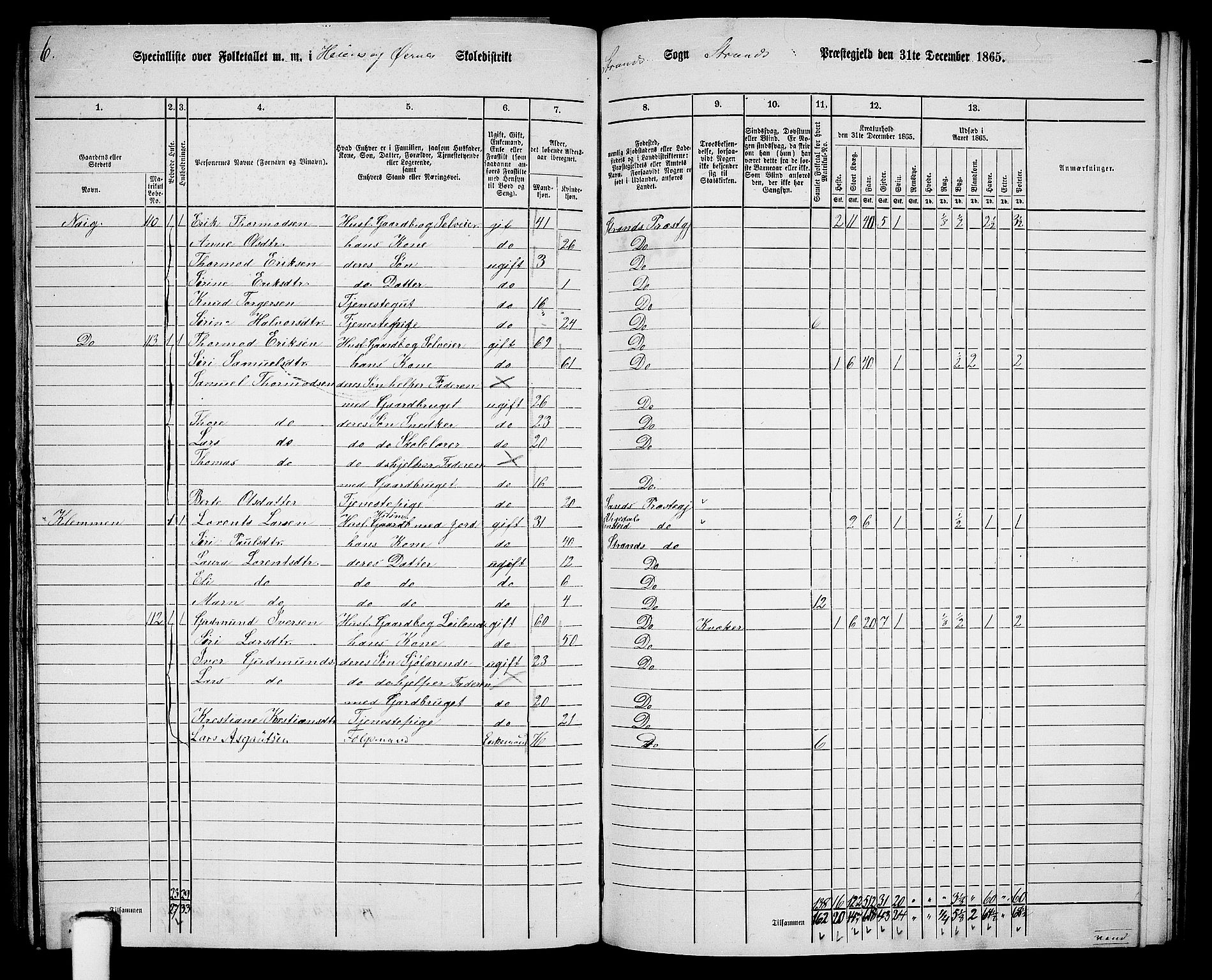 RA, 1865 census for Strand, 1865, p. 62