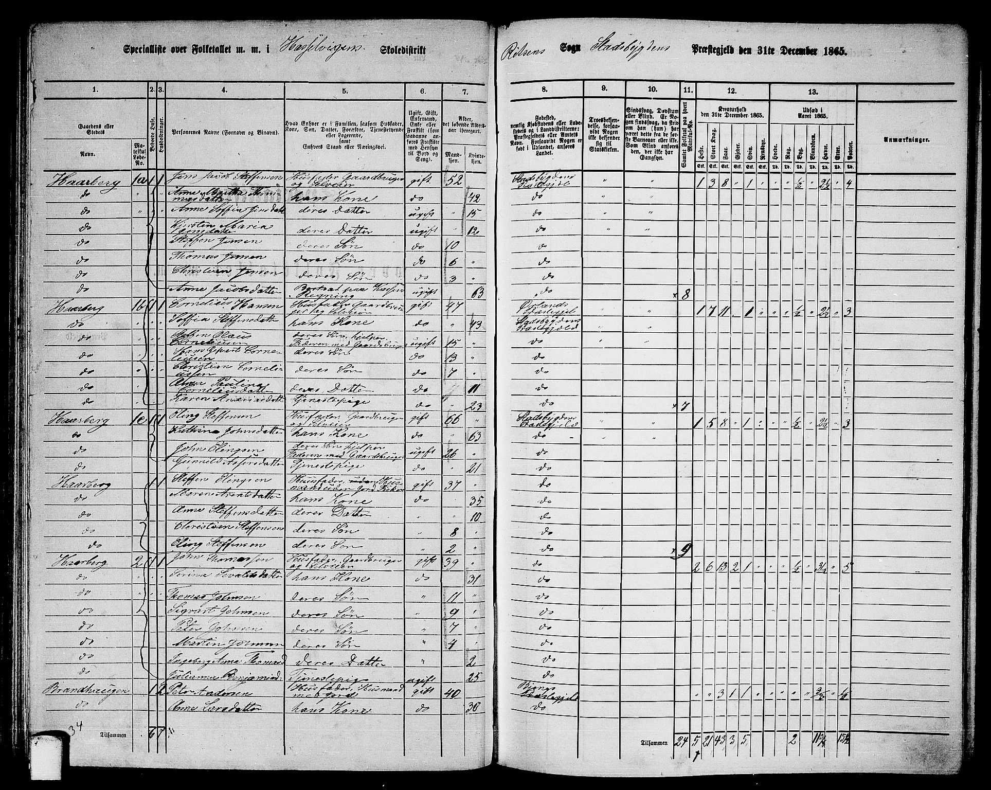 RA, 1865 census for Stadsbygd, 1865, p. 80