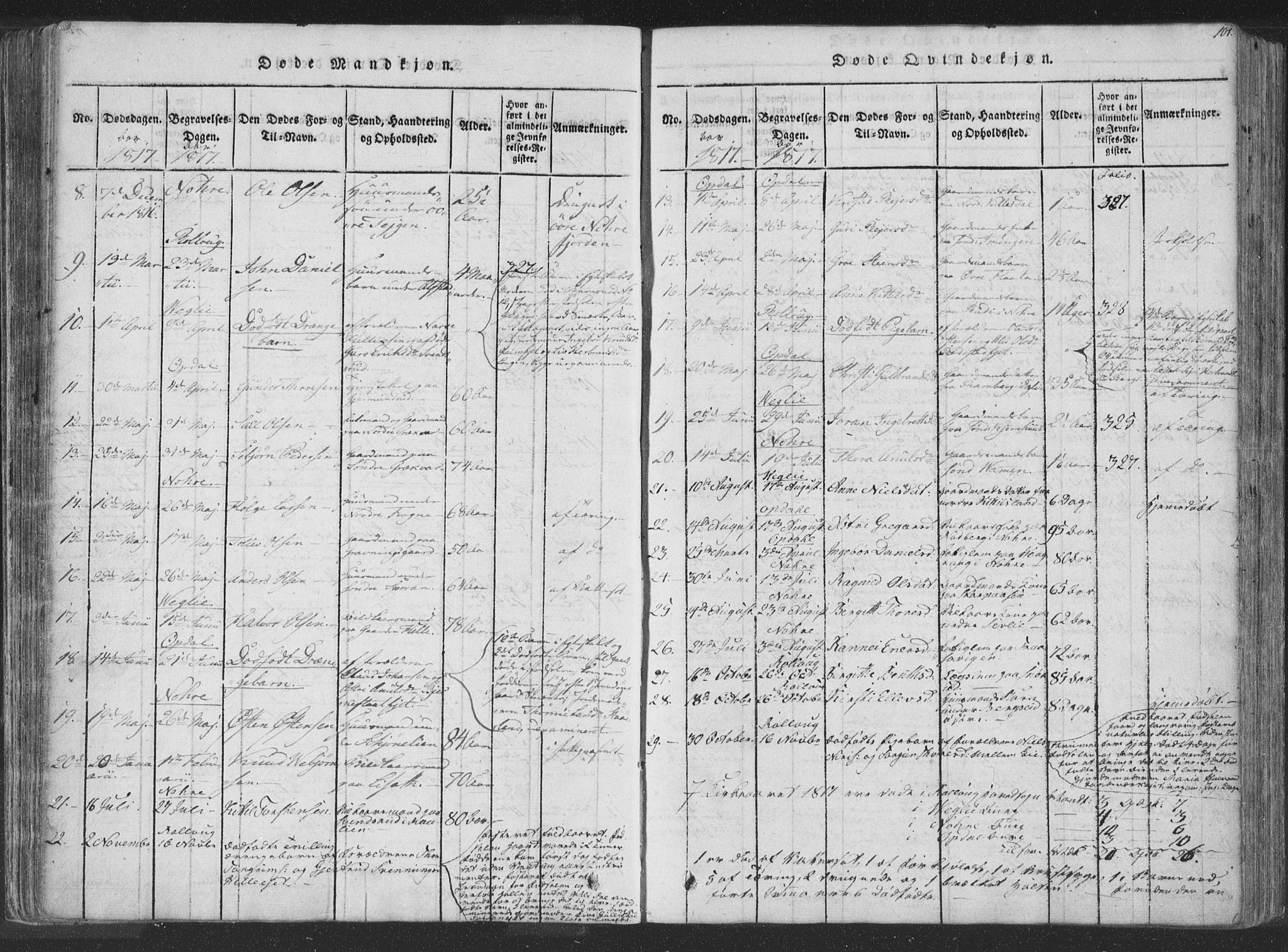Rollag kirkebøker, AV/SAKO-A-240/F/Fa/L0006: Parish register (official) no. I 6, 1814-1828, p. 101