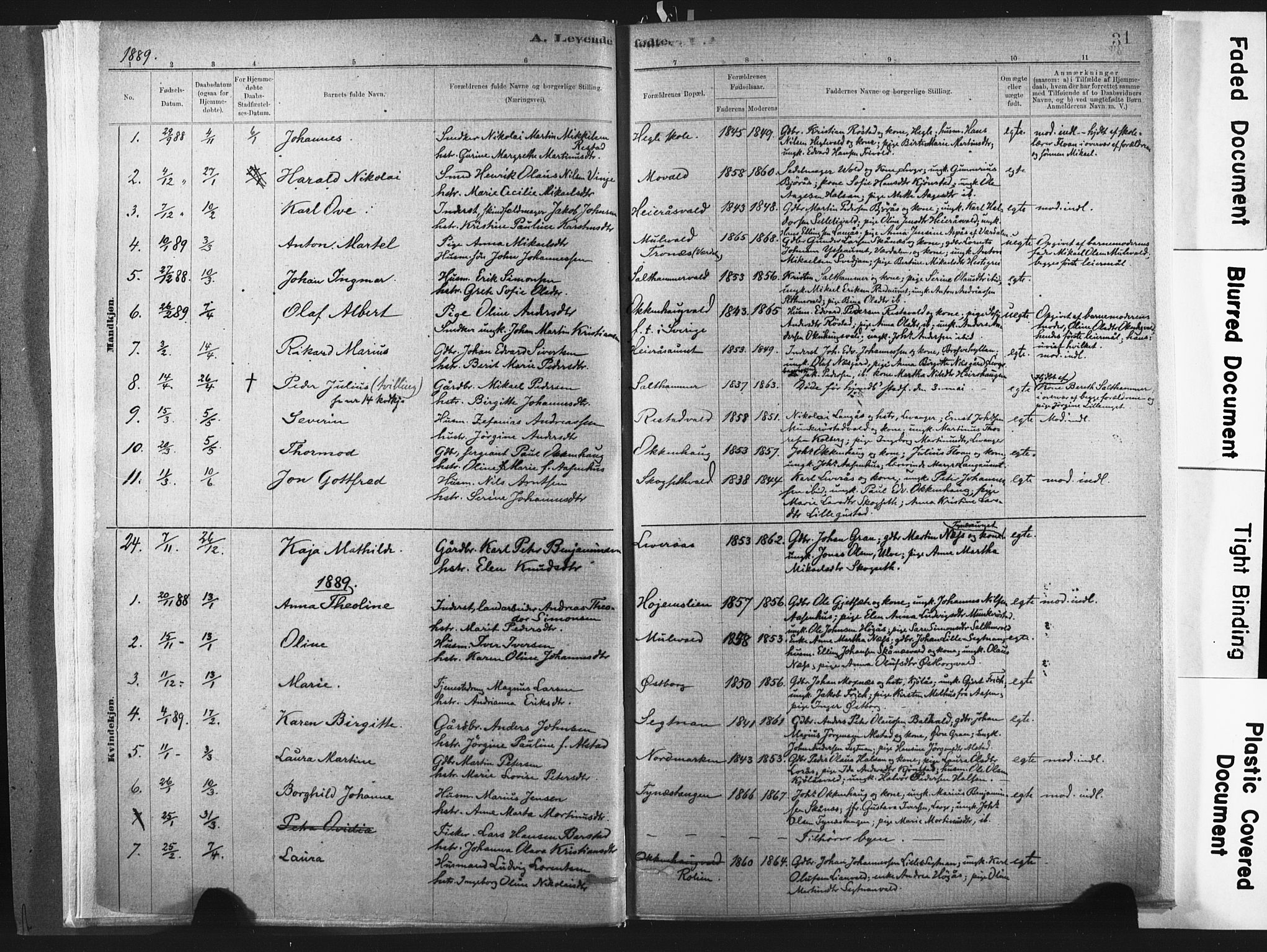 Ministerialprotokoller, klokkerbøker og fødselsregistre - Nord-Trøndelag, SAT/A-1458/721/L0207: Parish register (official) no. 721A02, 1880-1911, p. 31