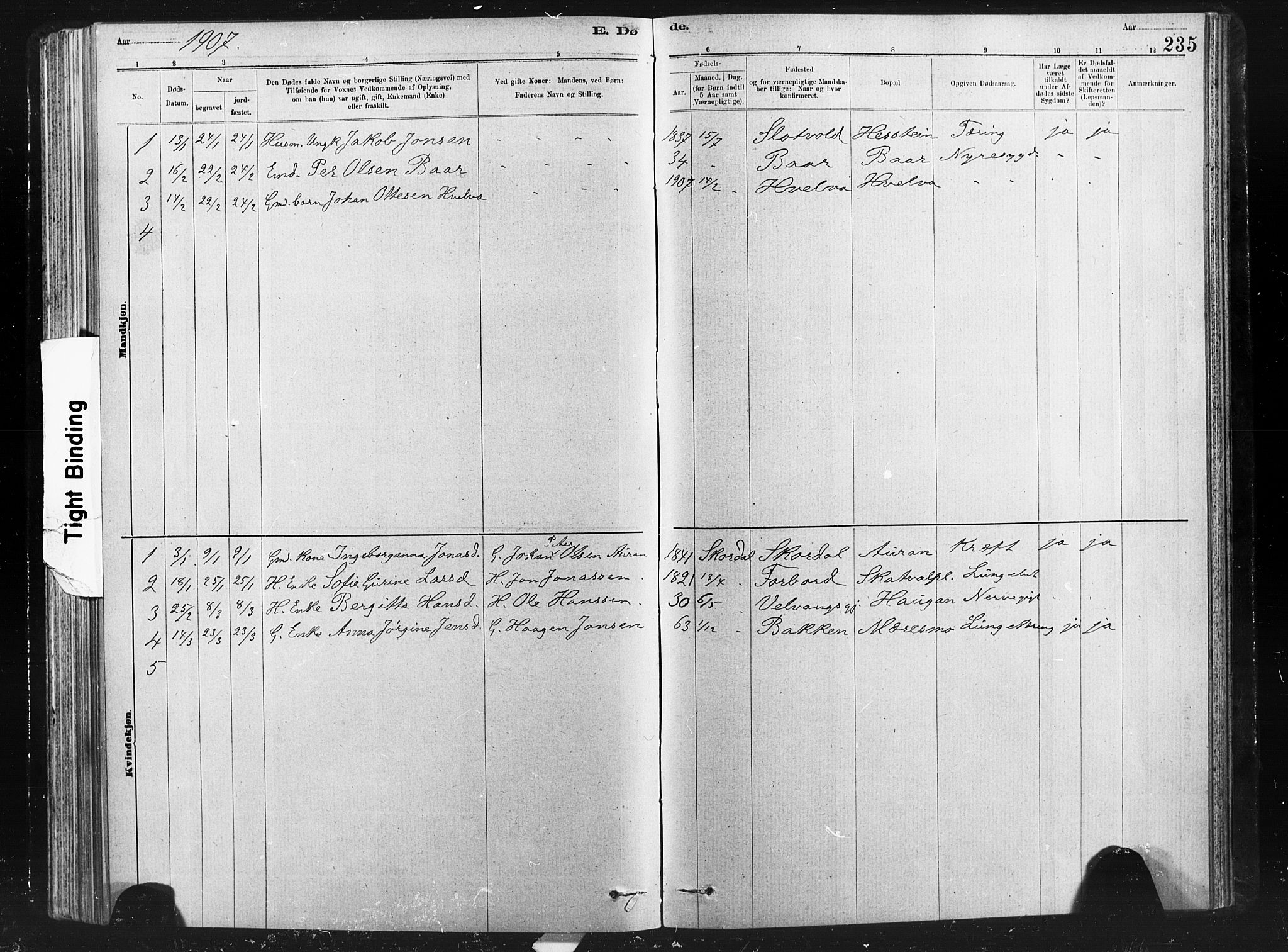Ministerialprotokoller, klokkerbøker og fødselsregistre - Nord-Trøndelag, SAT/A-1458/712/L0103: Parish register (copy) no. 712C01, 1878-1917, p. 235